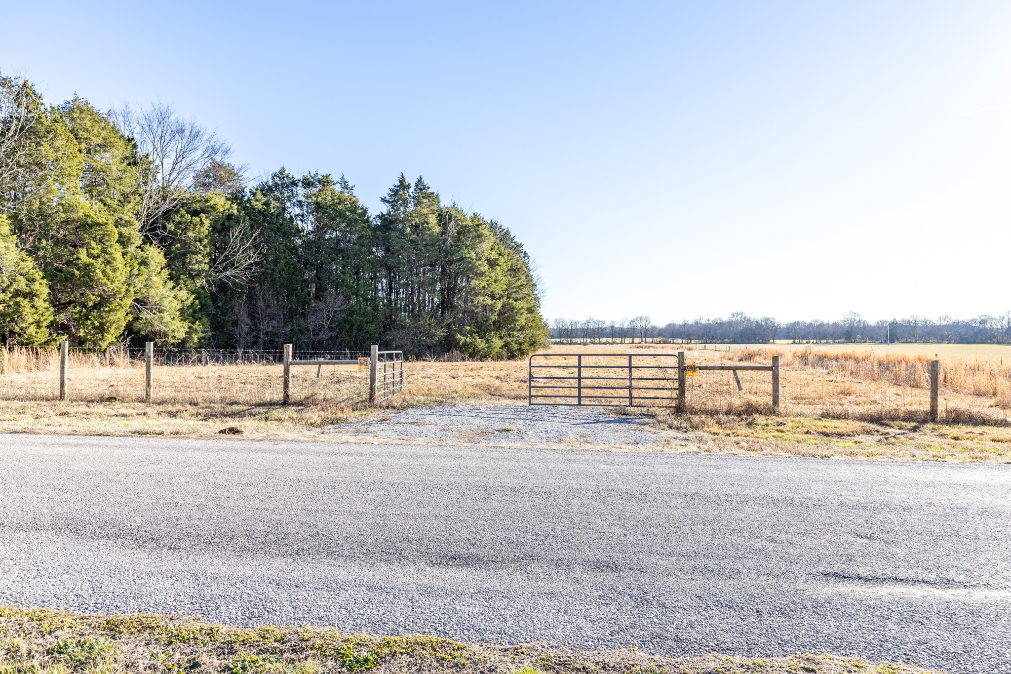 3456 Gillespie Ln Property Photo 1
