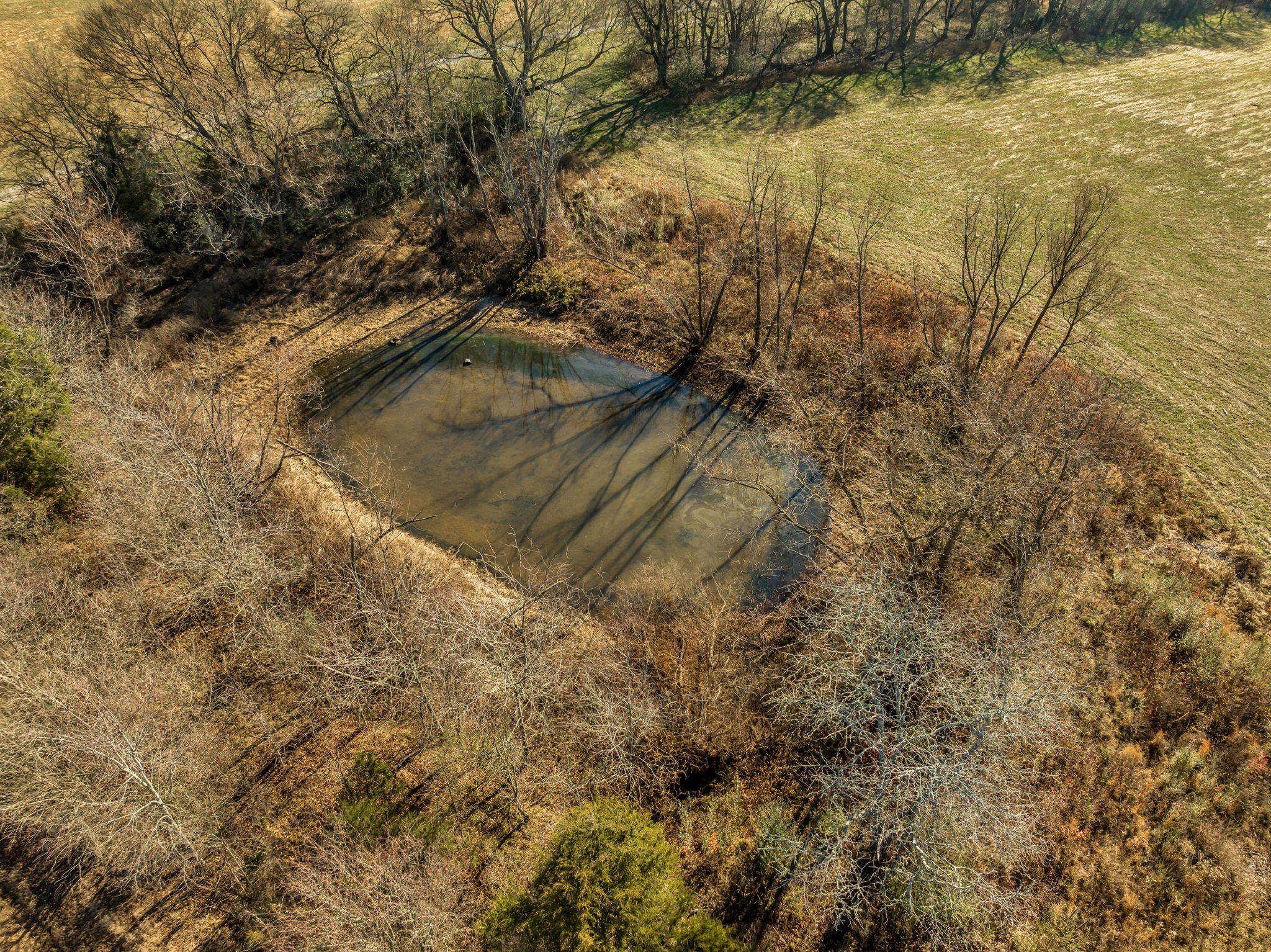 0 Molino Rd Property Photo 25