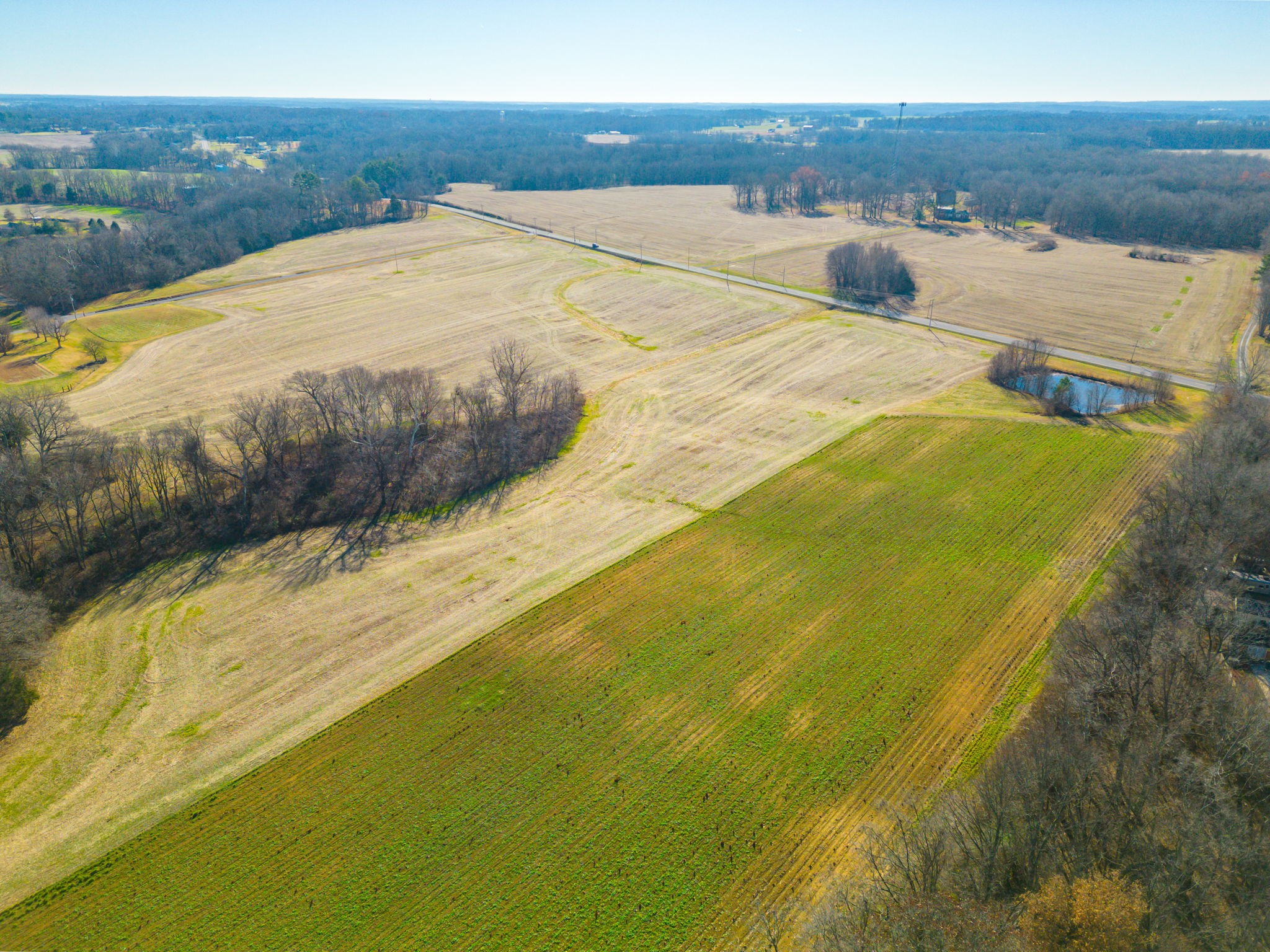 6841 Highway 41 Property Photo 7