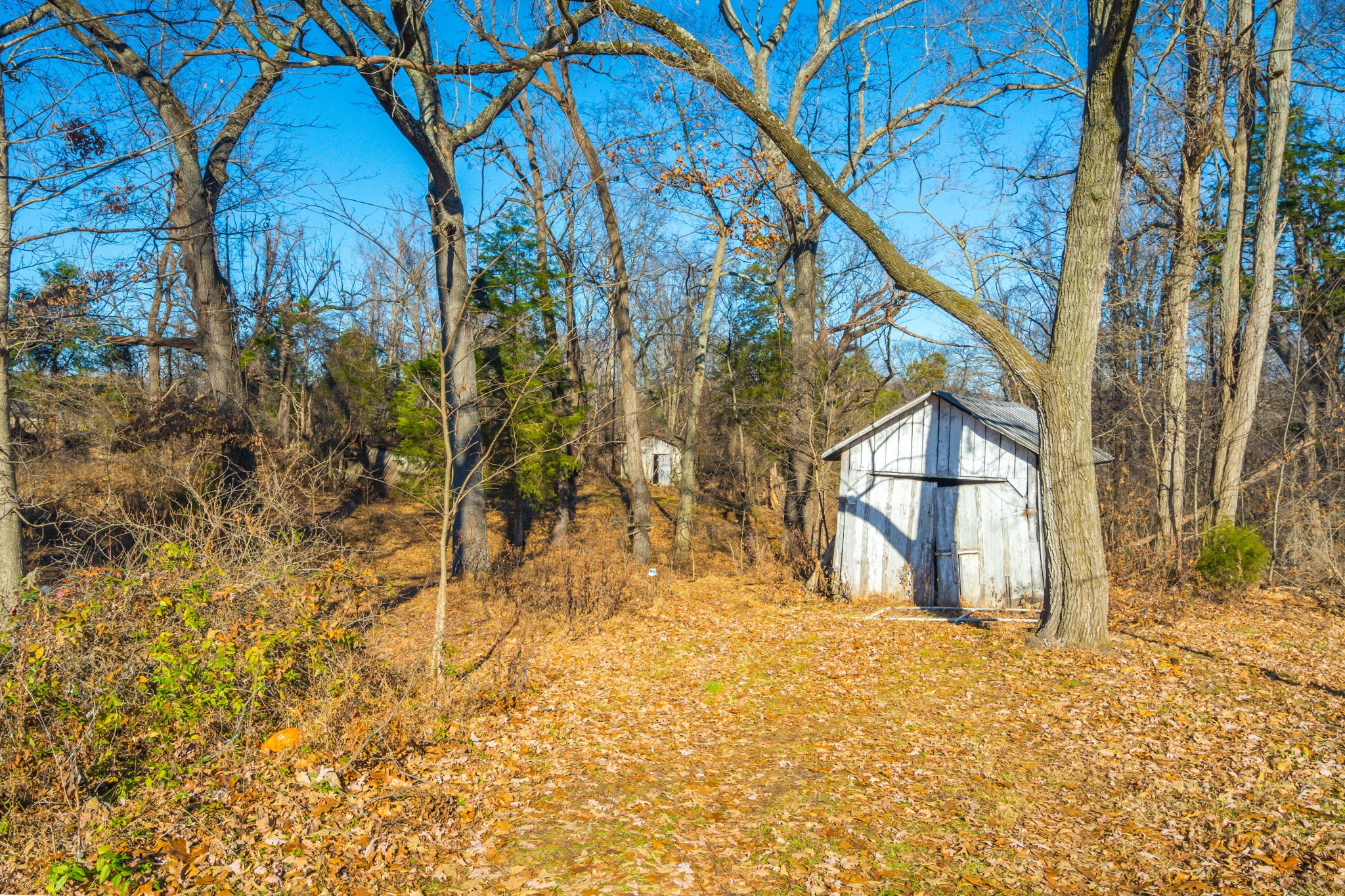 6841 Highway 41 Property Photo 36