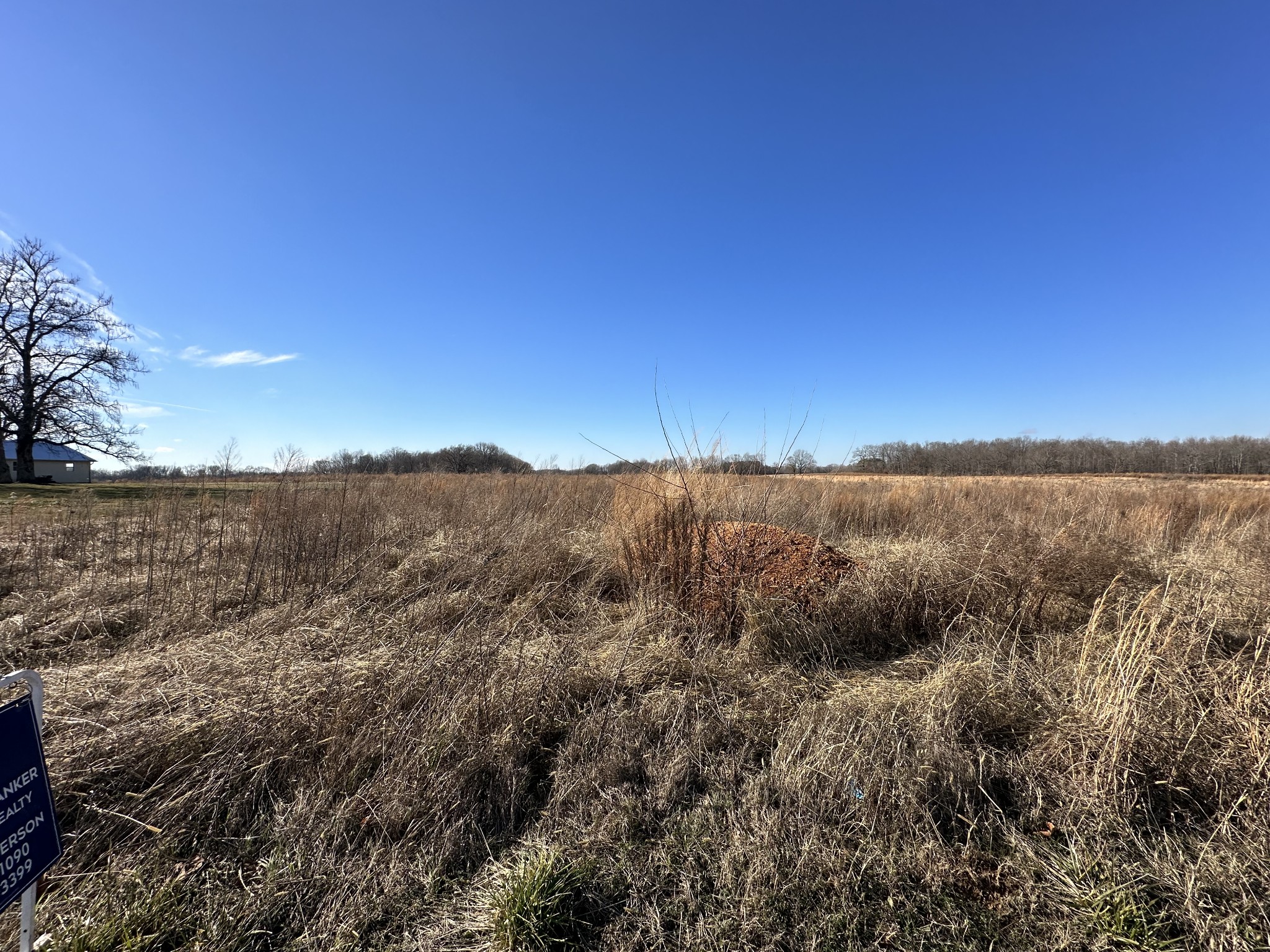 0 Rushing Road Property Photo 7