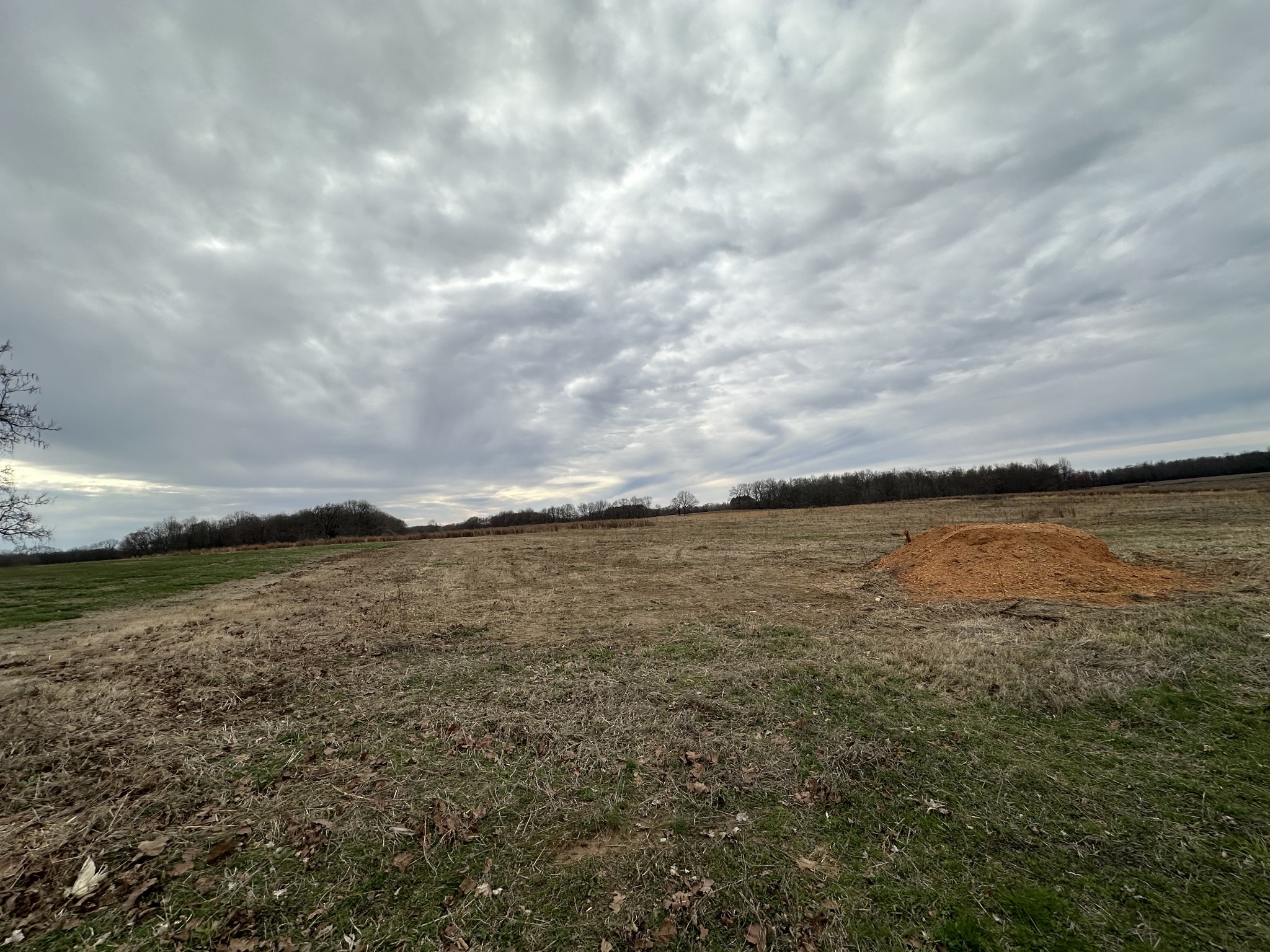 0 Rushing Road Property Photo 8