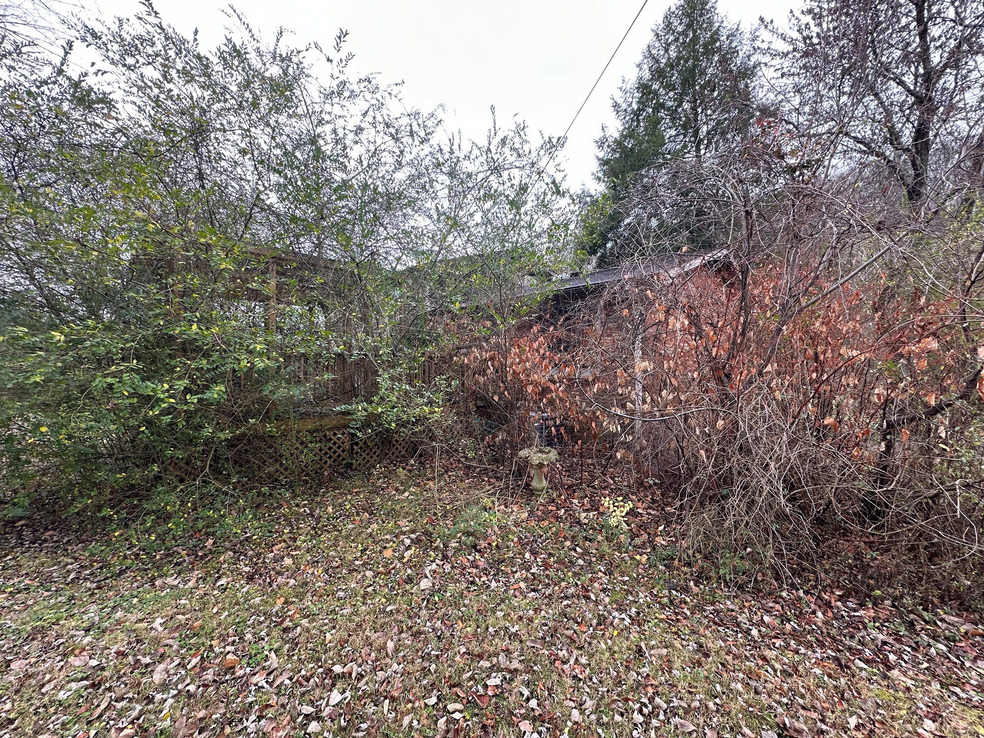 211 Dry Creek Rd Property Photo 4