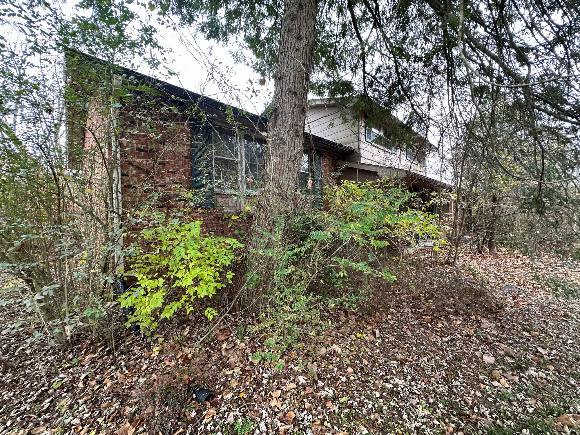 211 Dry Creek Rd Property Photo 6