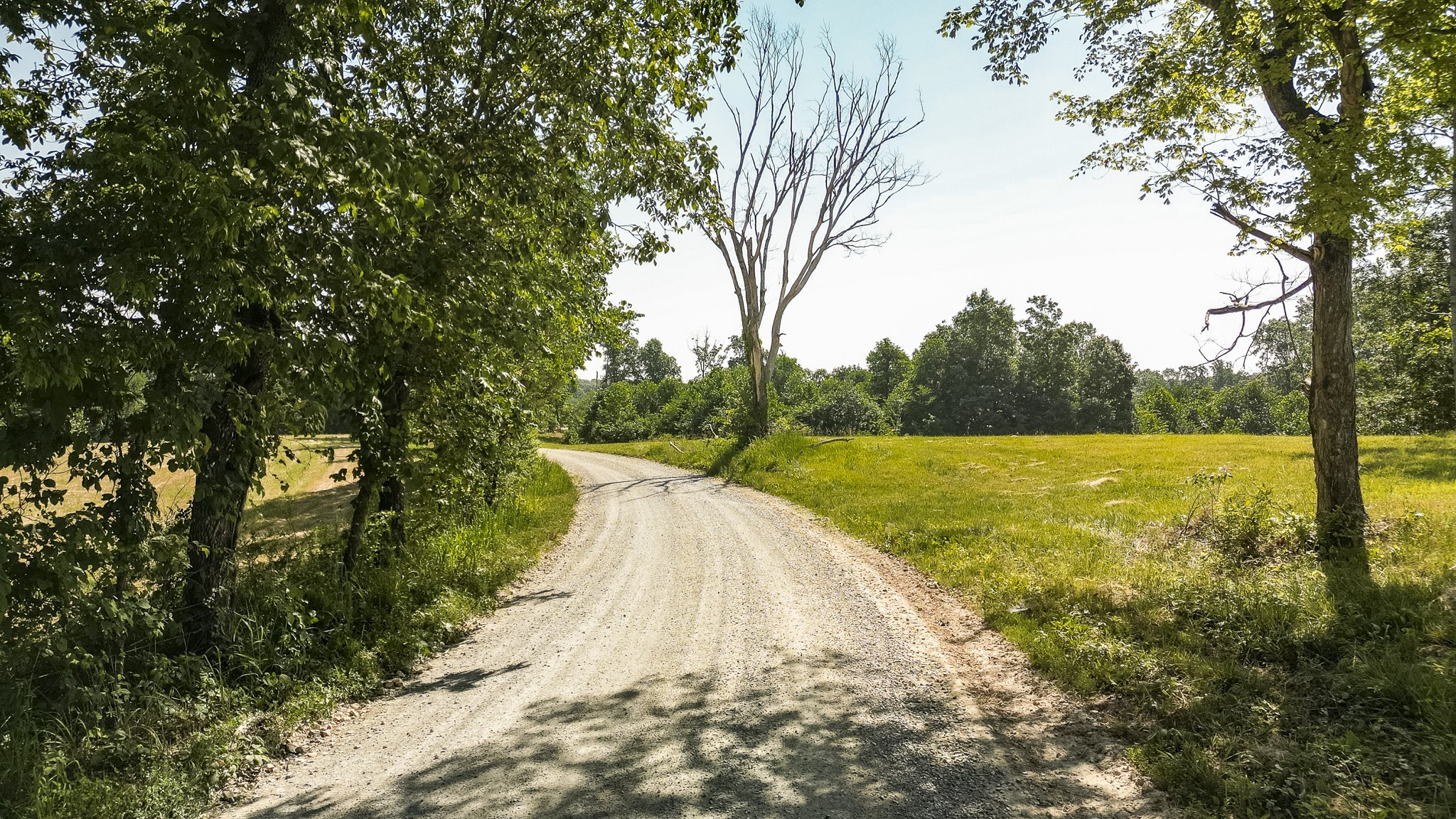 0 Moore Hollow Road Property Photo 2