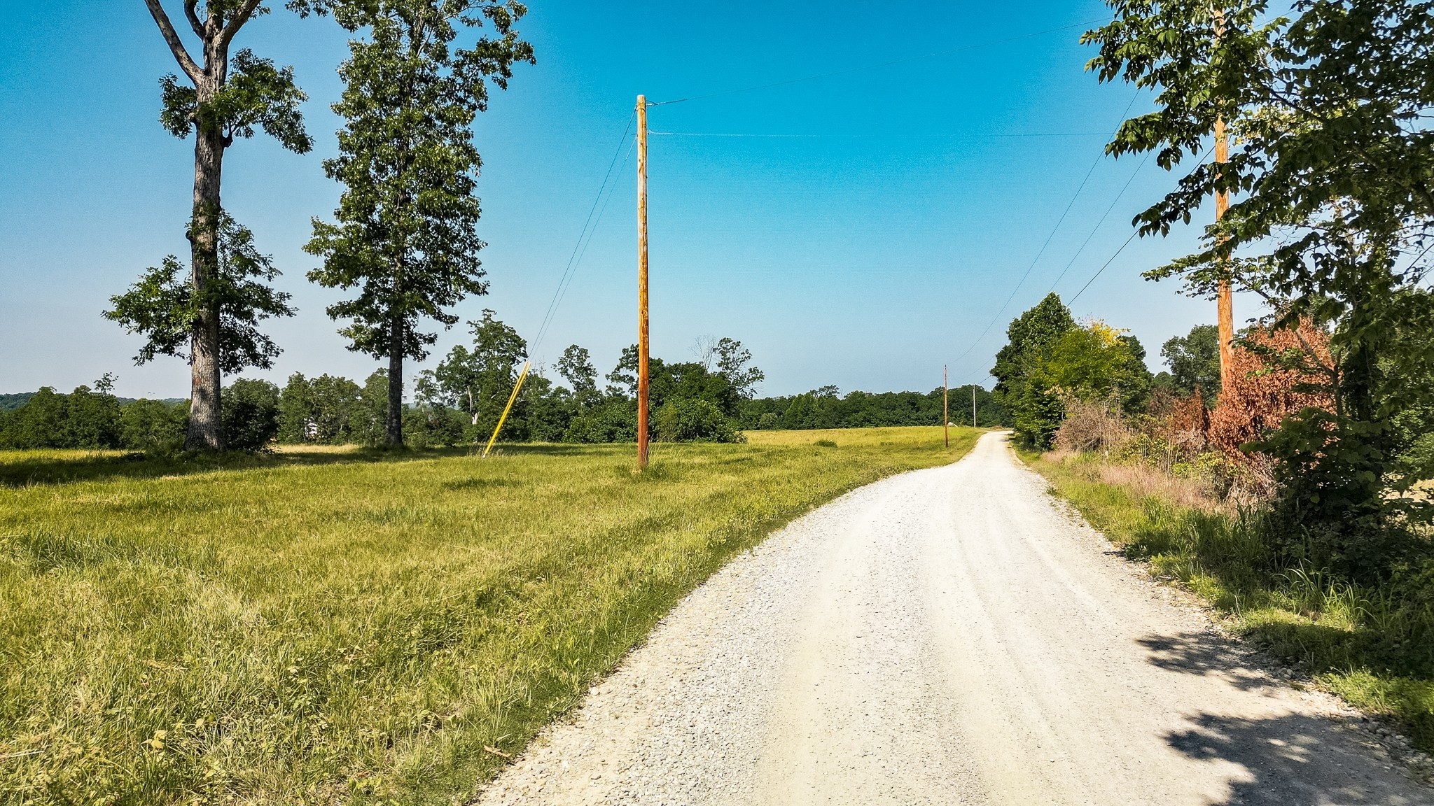 0 Moore Hollow Road Property Photo 3