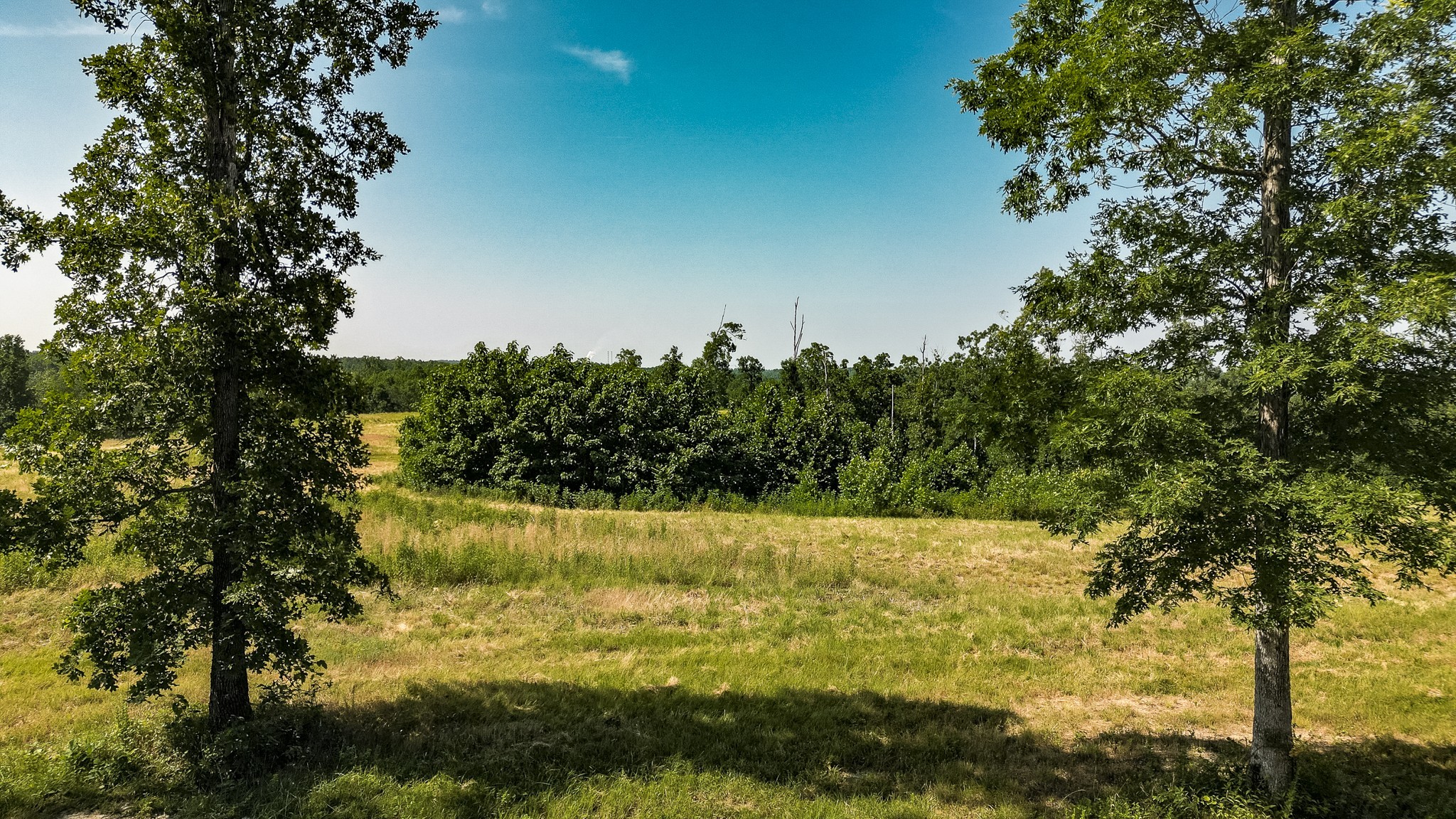 0 Moore Hollow Road Property Photo 4