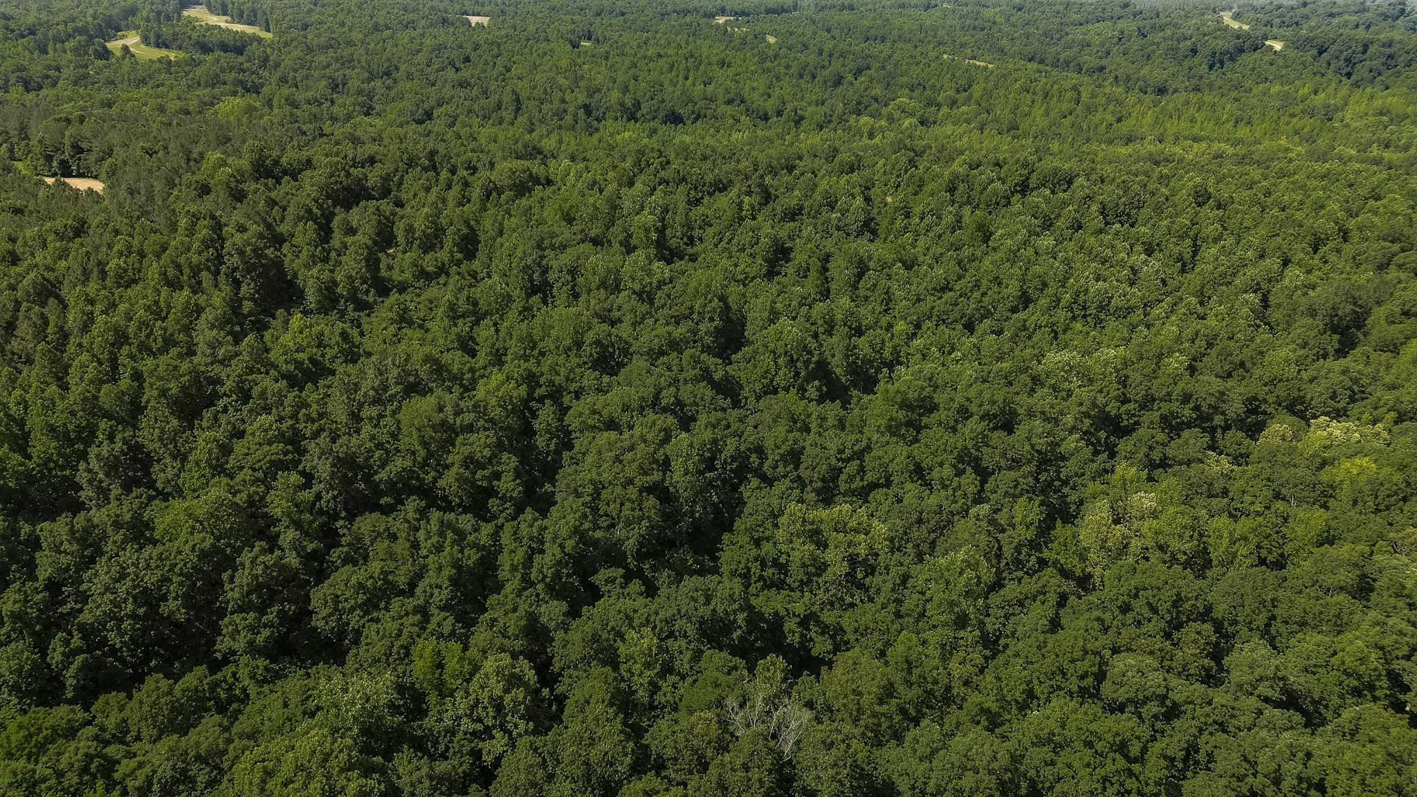 0 Moore Hollow Road Property Photo 12