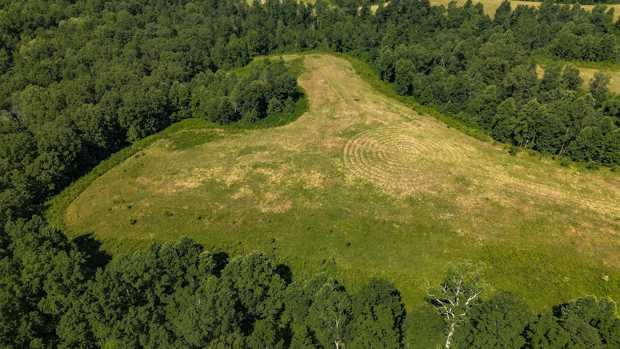 0 Moore Hollow Road Property Photo 14