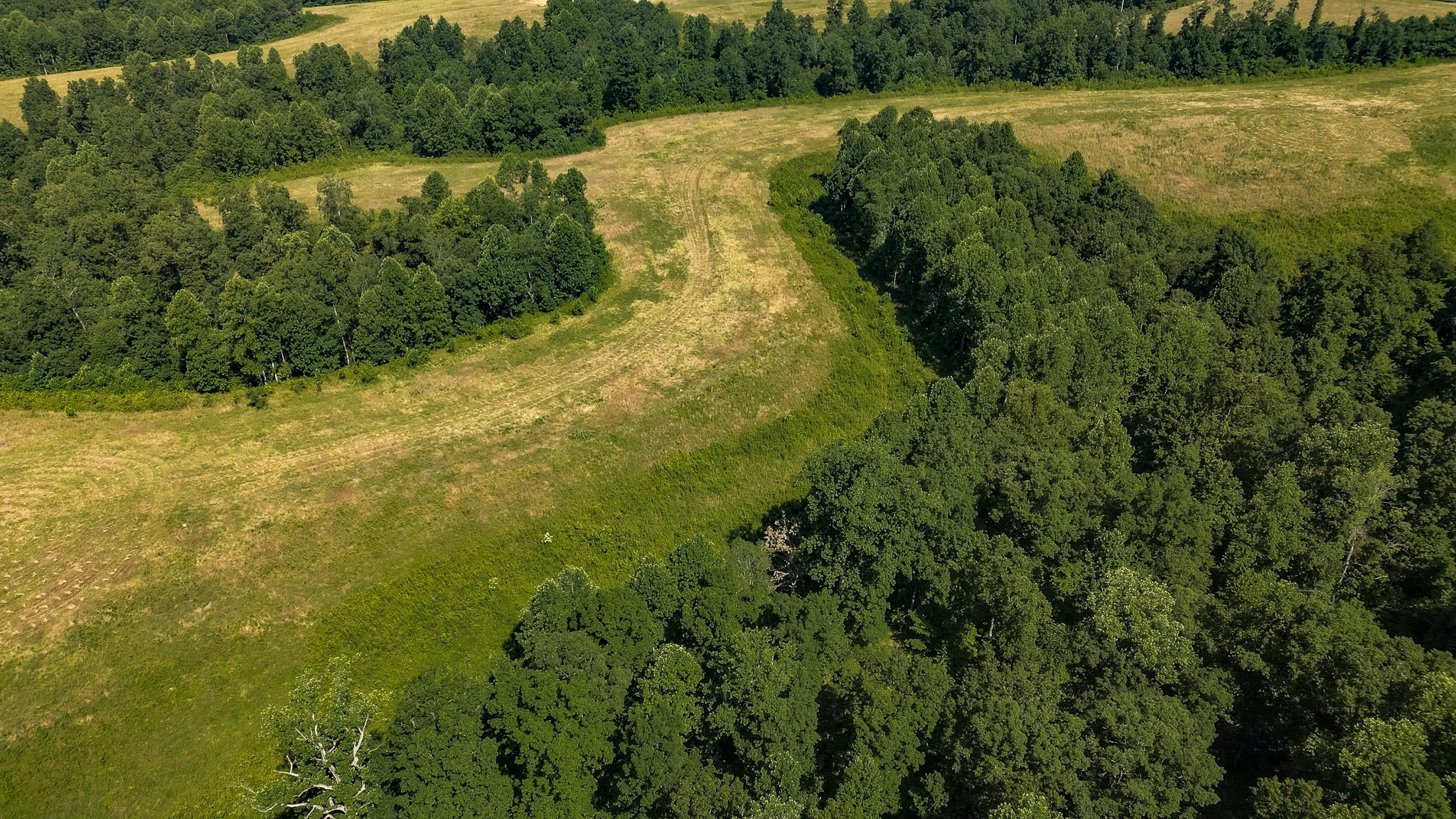 0 Moore Hollow Road Property Photo 15