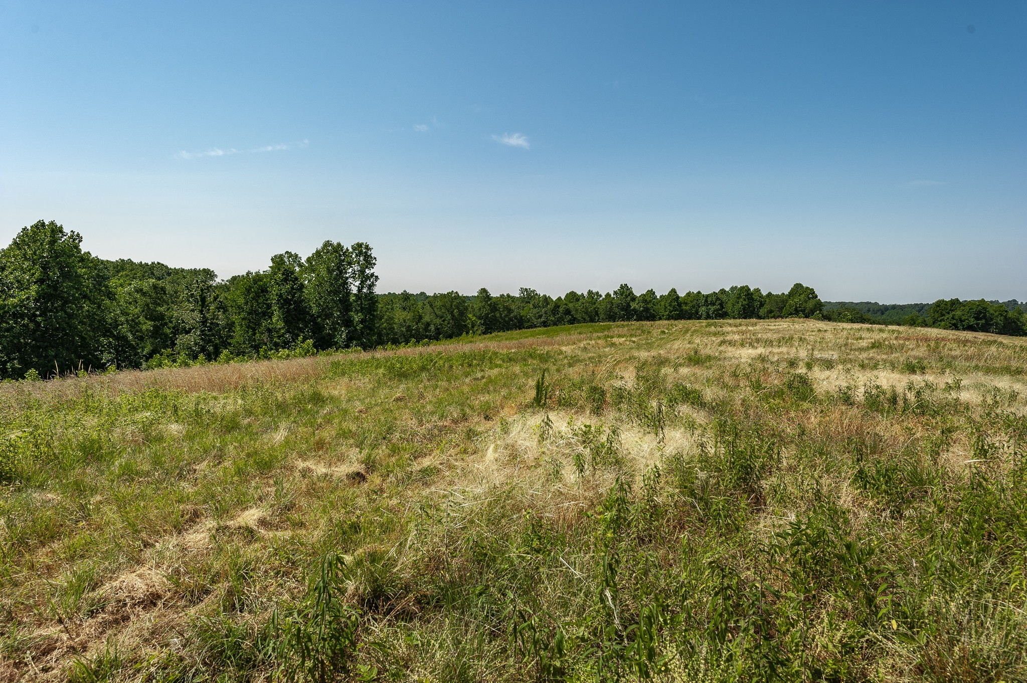0 Moore Hollow Road Property Photo 35
