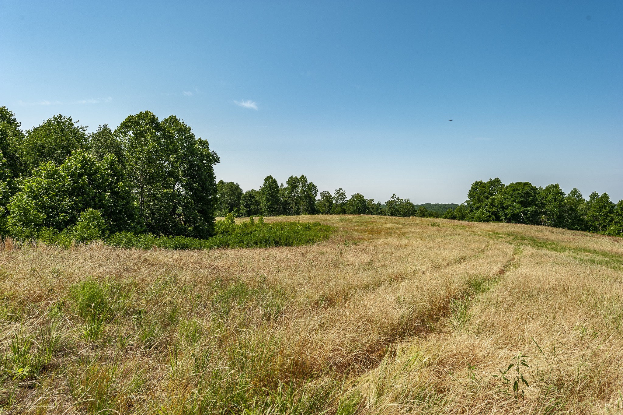 0 Moore Hollow Road Property Photo 38