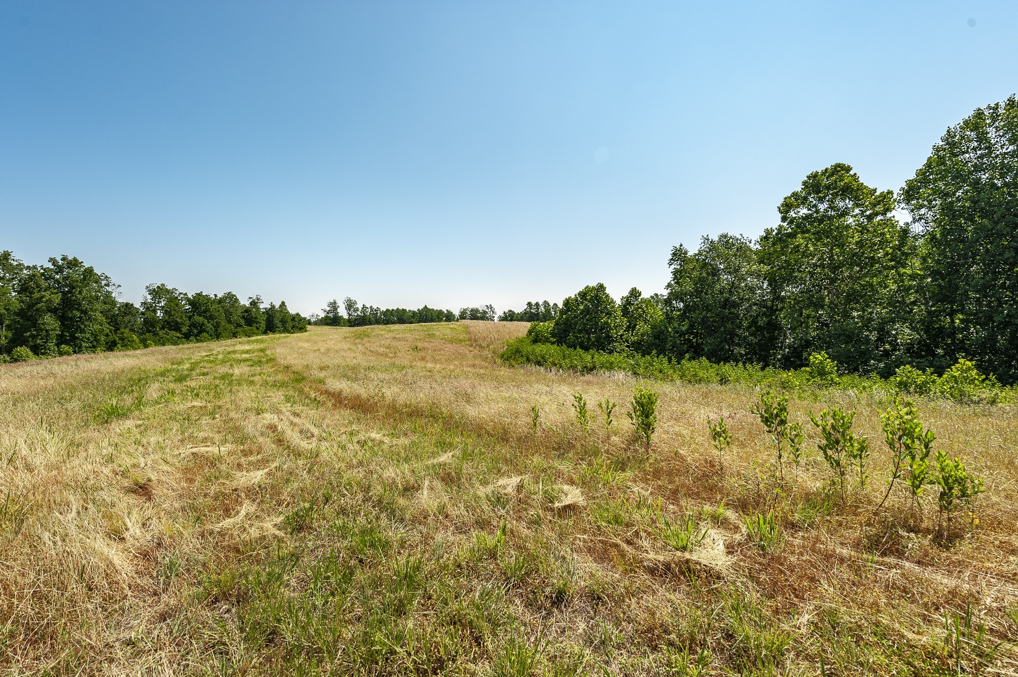0 Moore Hollow Road Property Photo 39