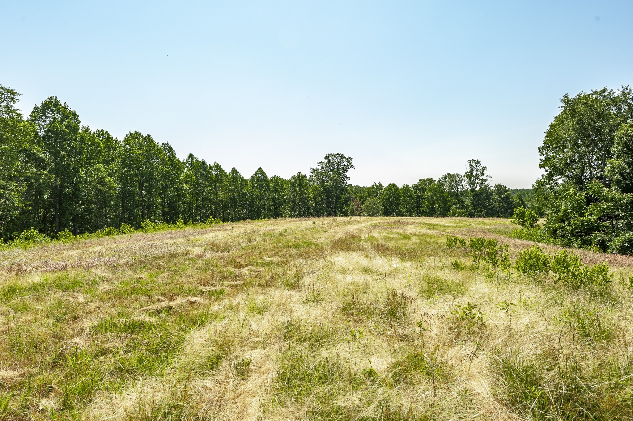 0 Moore Hollow Road Property Photo 40