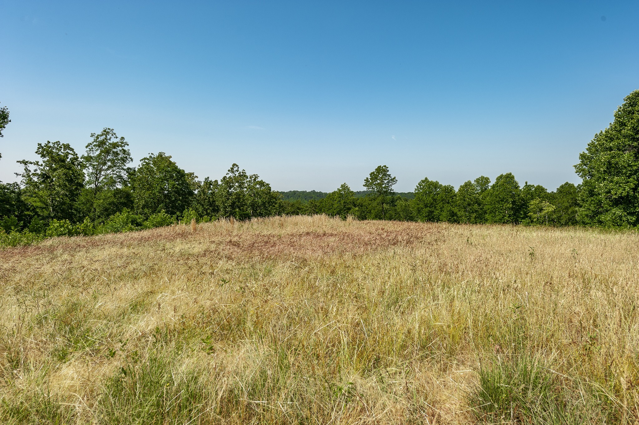0 Moore Hollow Road Property Photo 41