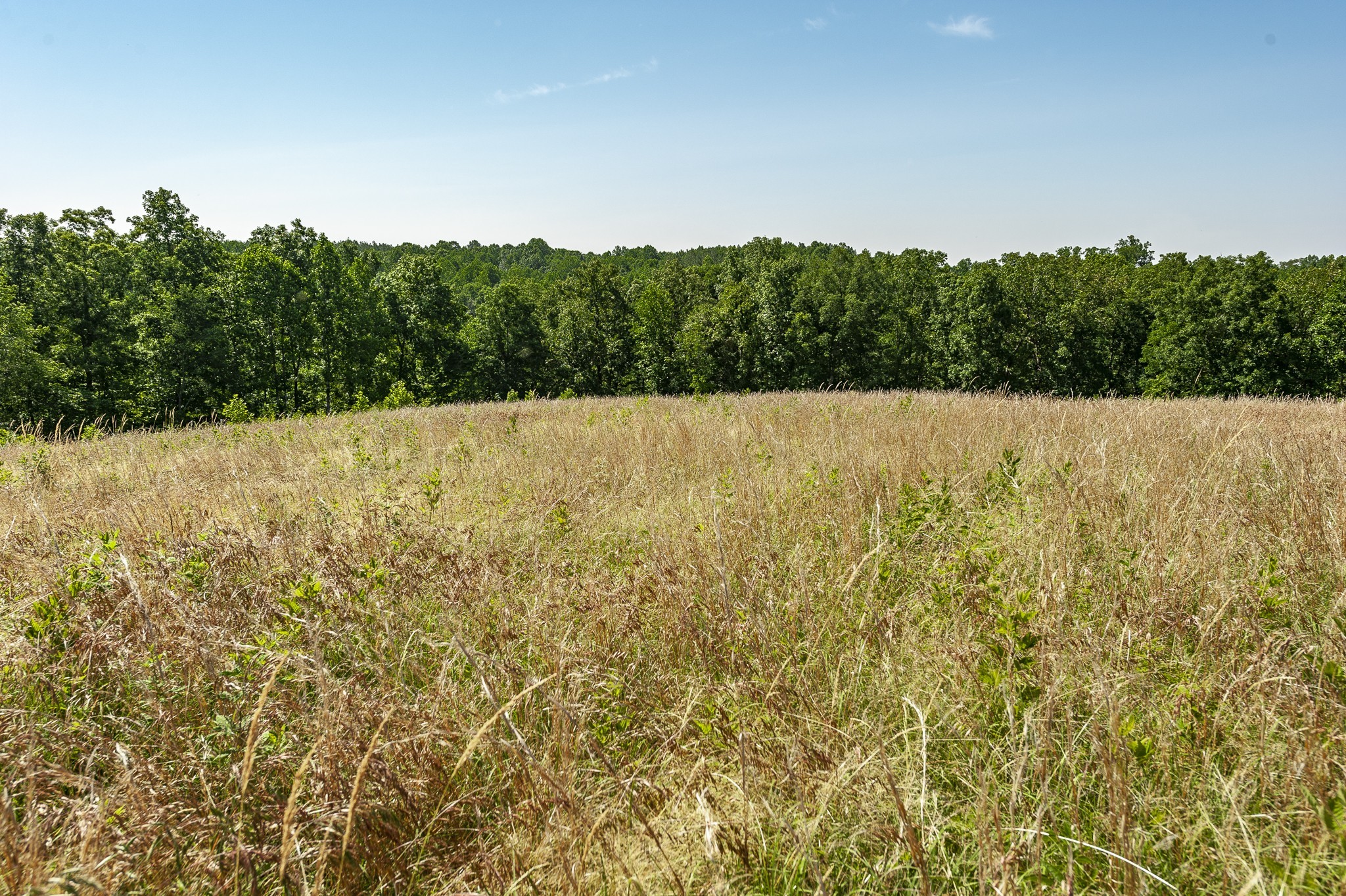 0 Moore Hollow Road Property Photo 44