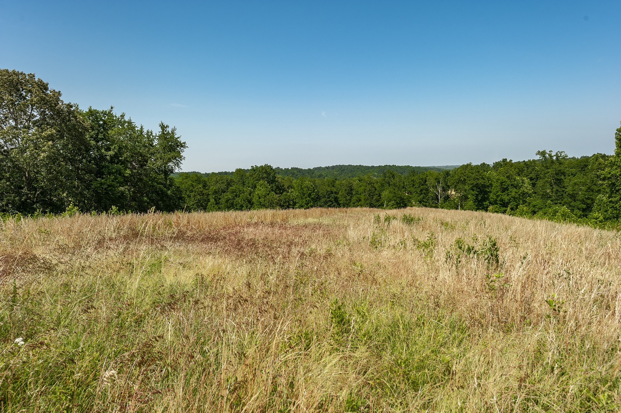 0 Moore Hollow Road Property Photo 45
