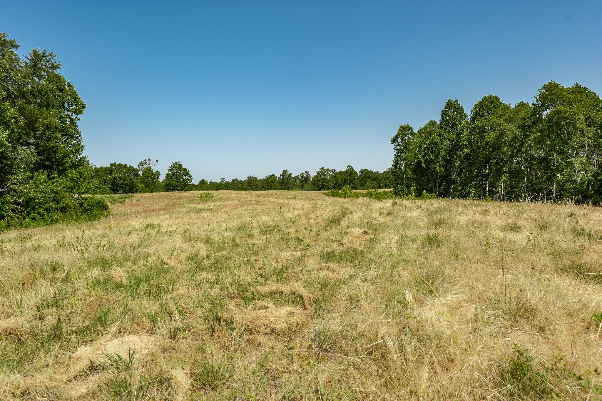 0 Moore Hollow Road Property Photo 46