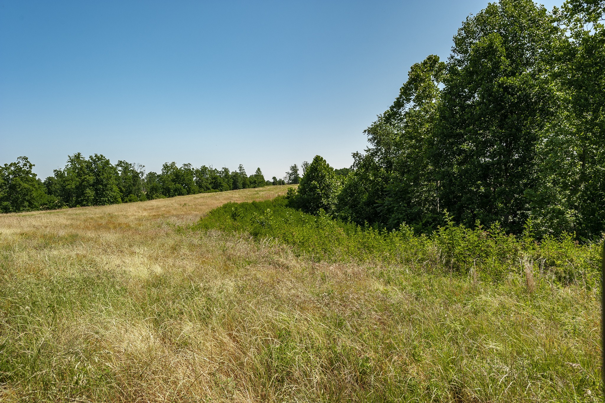 0 Moore Hollow Road Property Photo 47