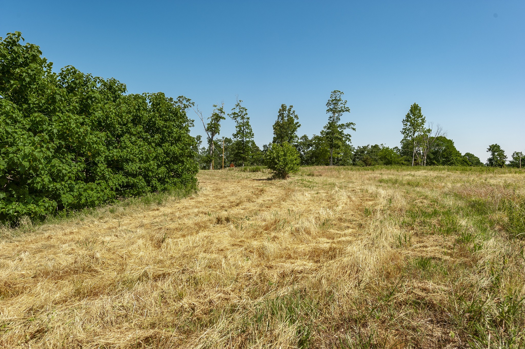0 Moore Hollow Road Property Photo 48