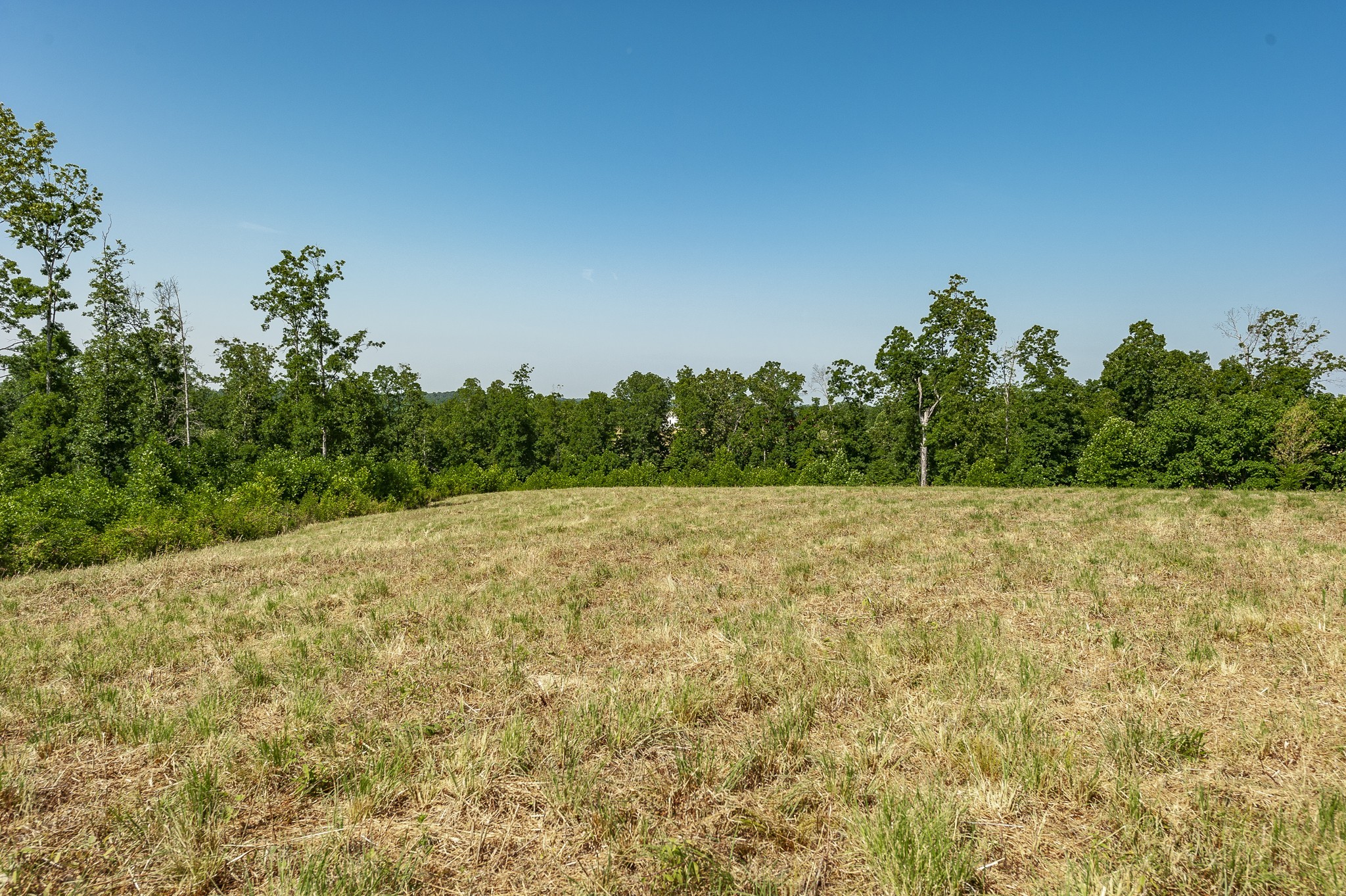 0 Moore Hollow Road Property Photo 49