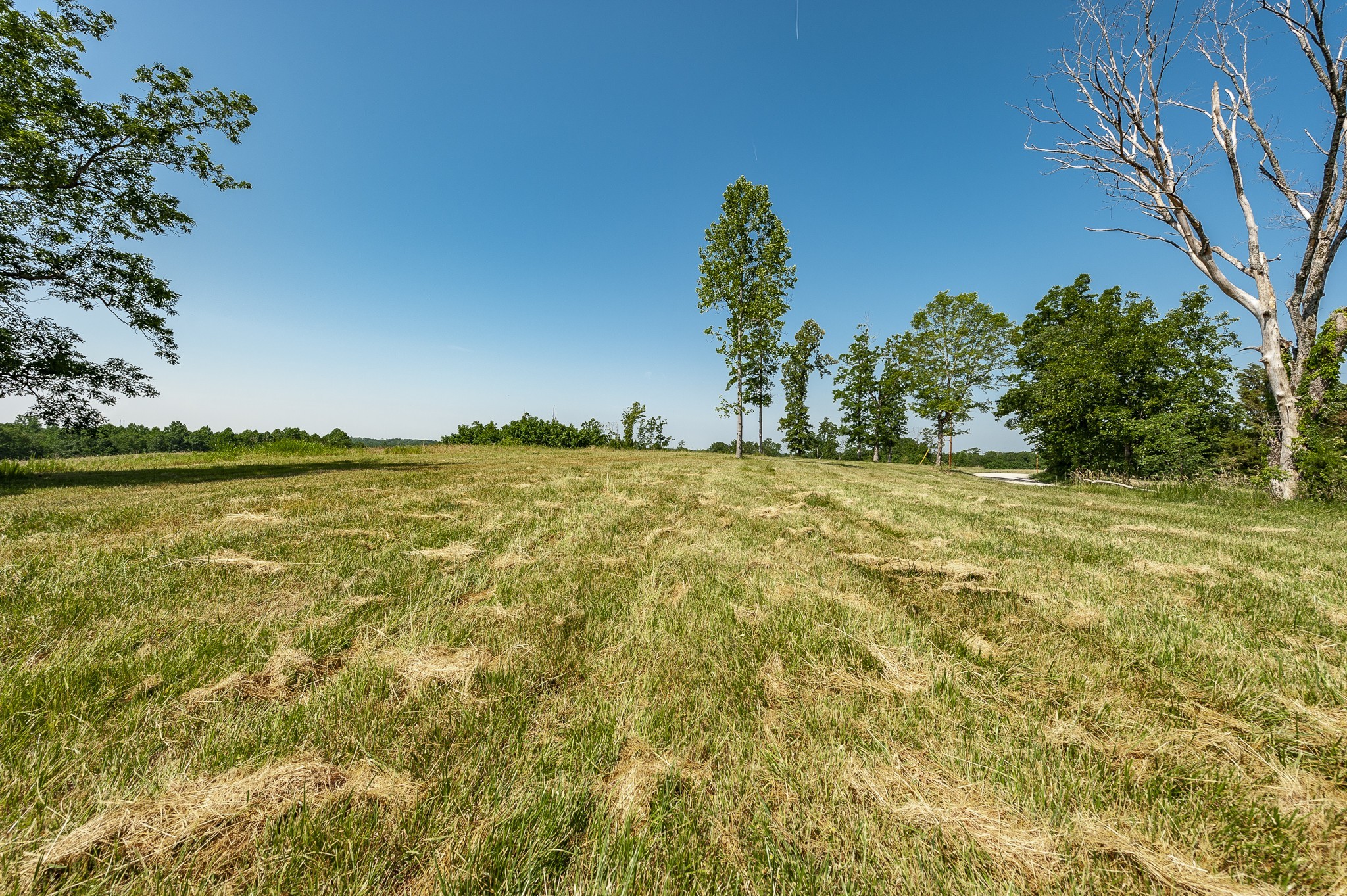 0 Moore Hollow Road Property Photo 53