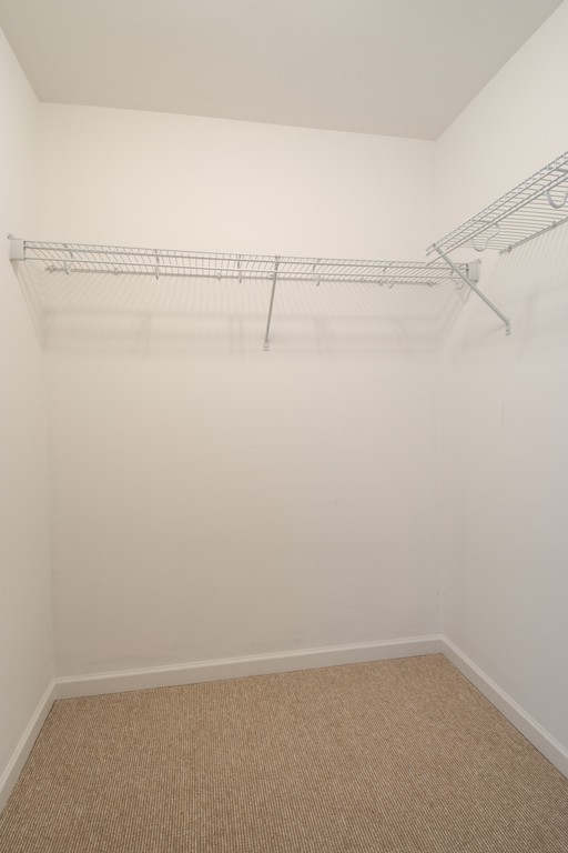 1181 Bear Branch Circle Property Photo 47