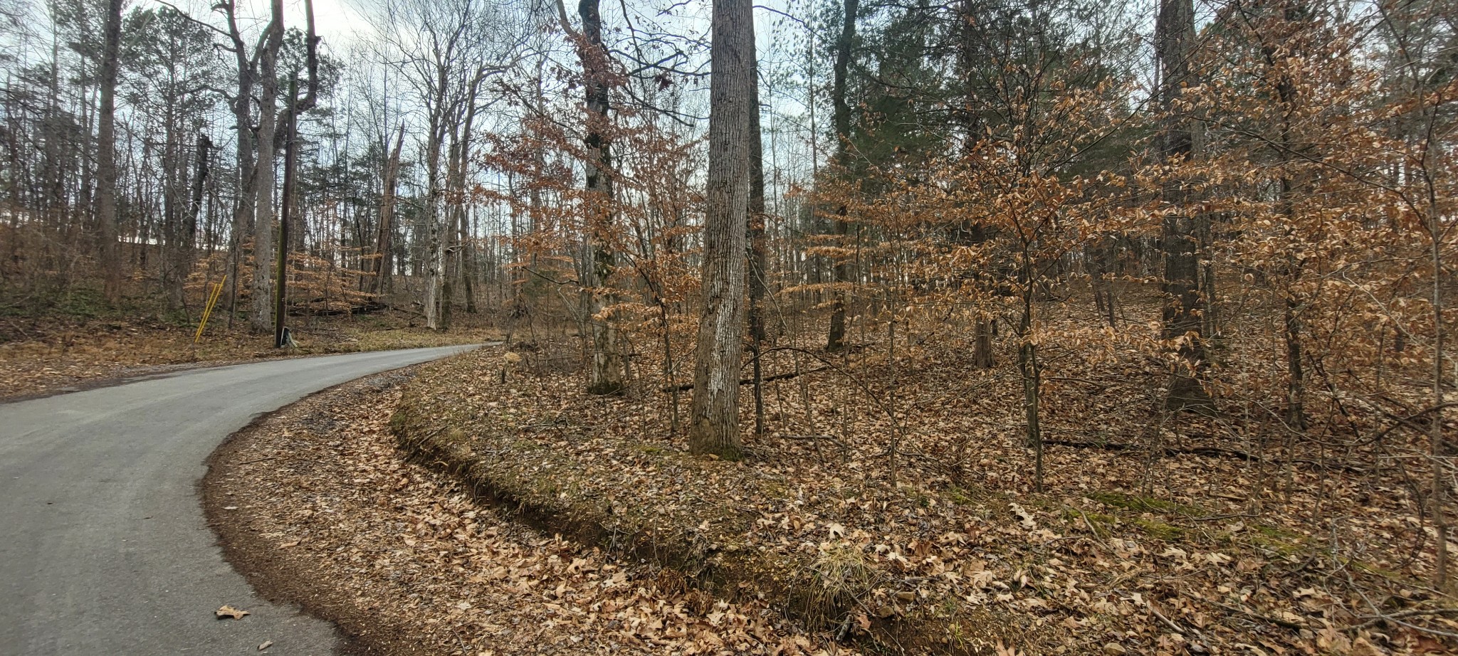 1 Tobaccoport Circle Property Photo 2