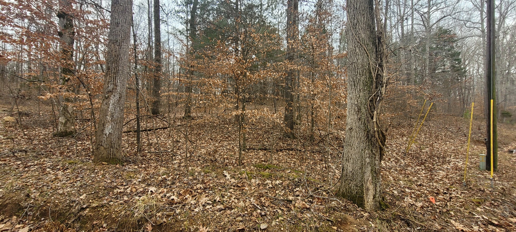 1 Tobaccoport Circle Property Photo 3