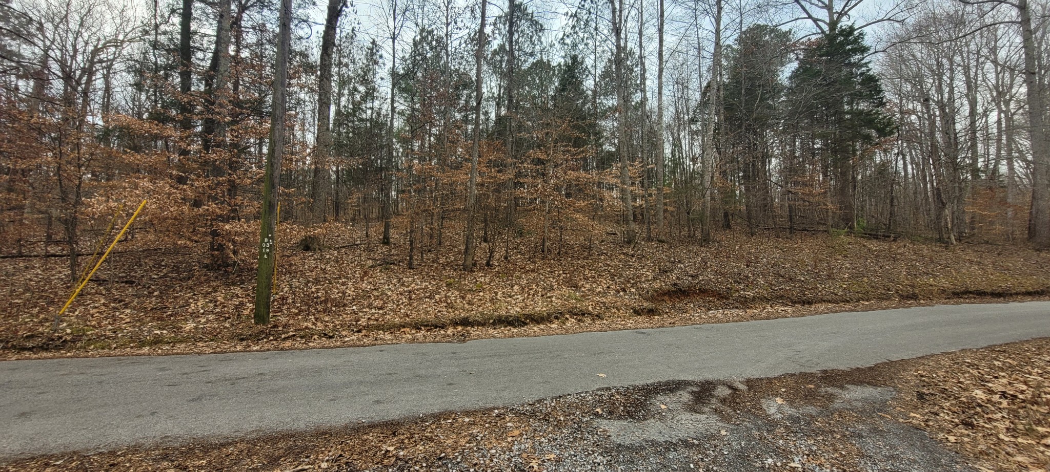 1 Tobaccoport Circle Property Photo 6