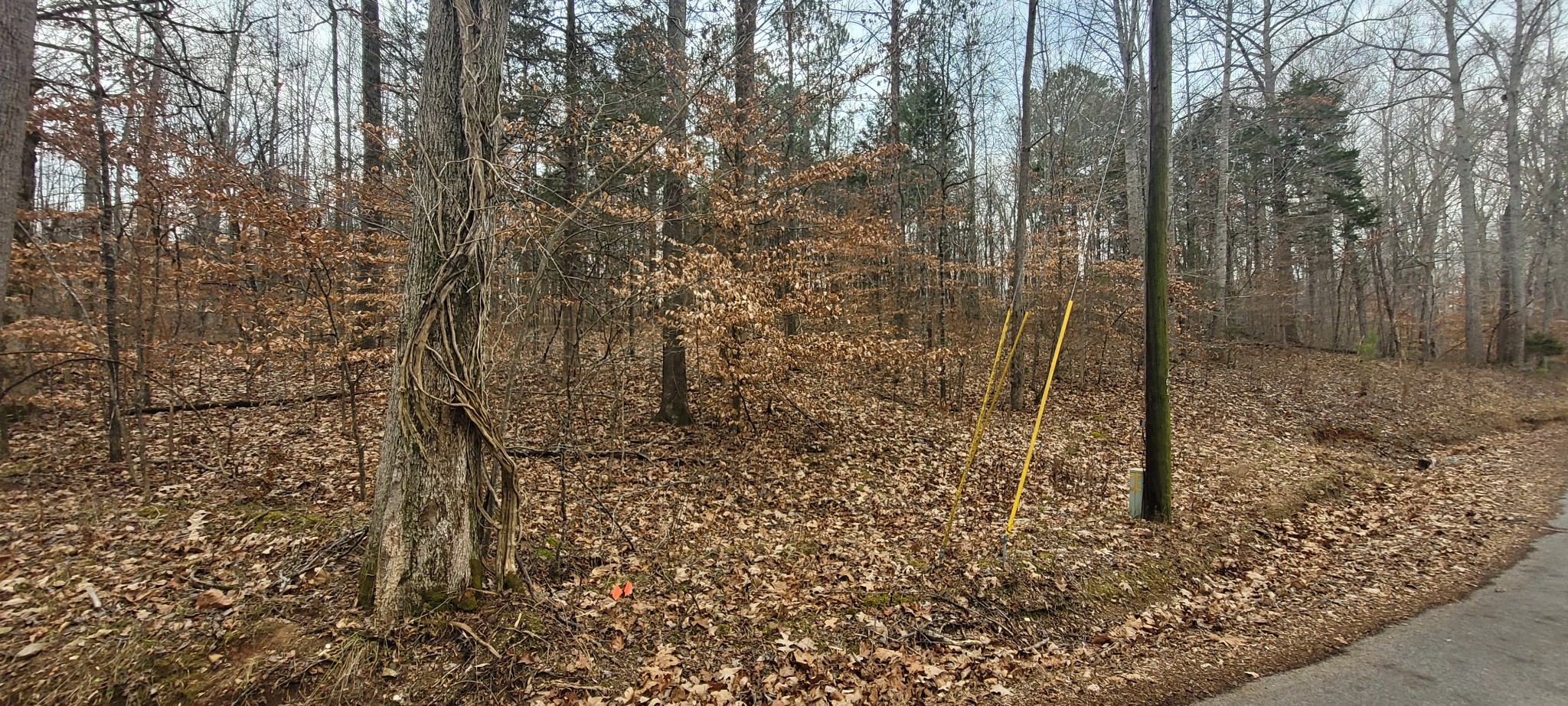 1 Tobaccoport Circle Property Photo 7