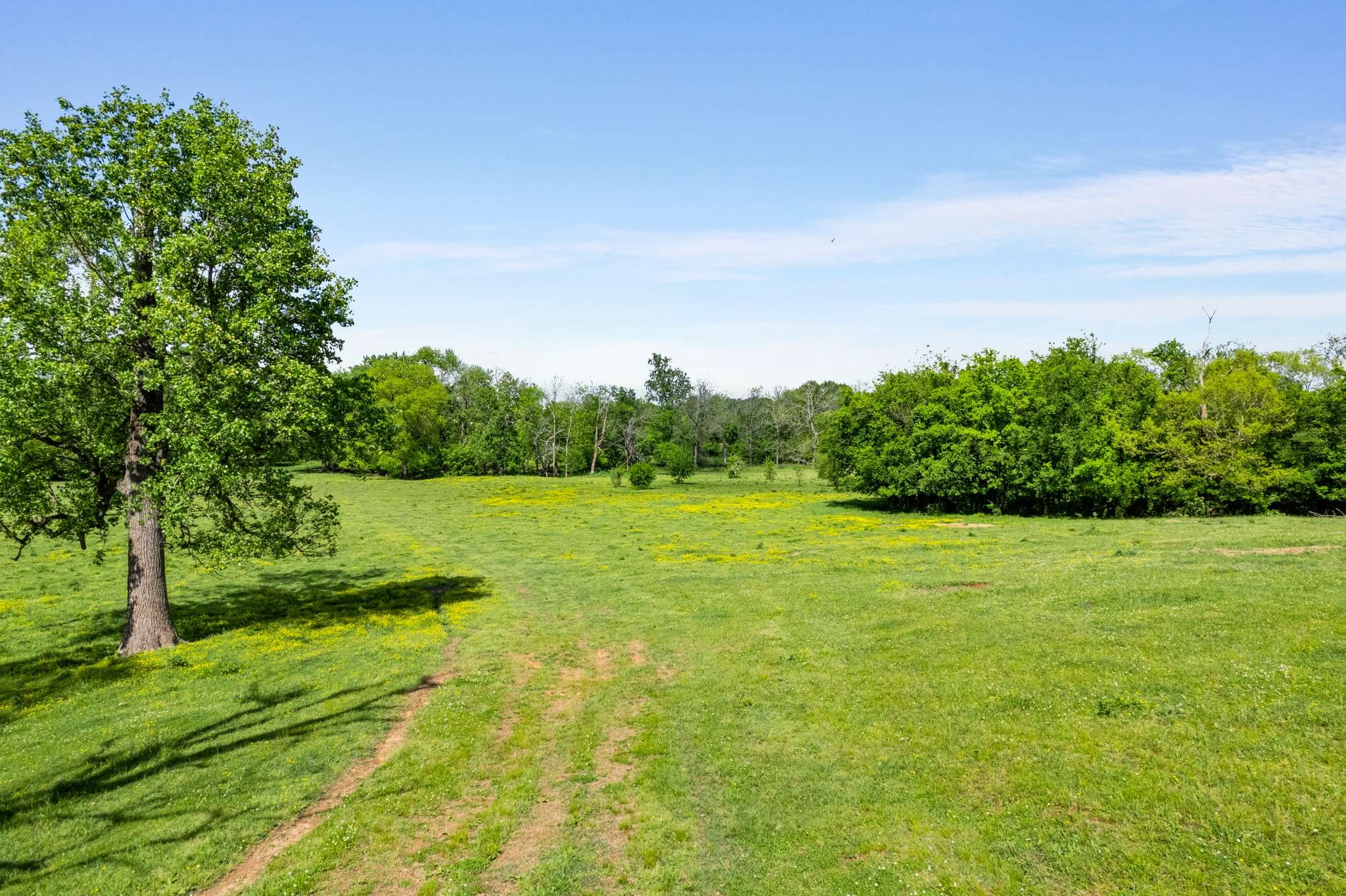 6768 Old Zion Rd Property Photo 44