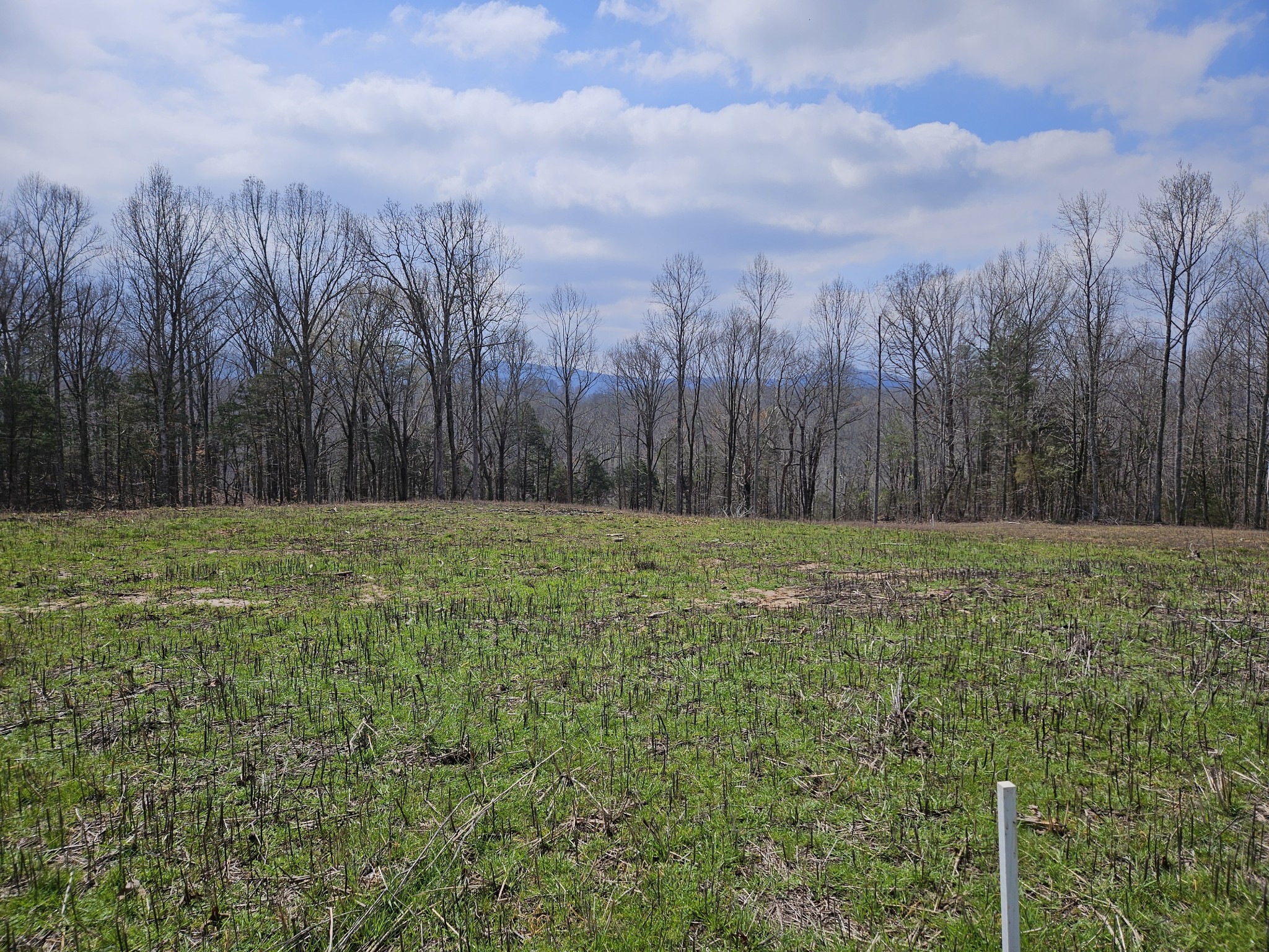 230 Ben Rd N Property Photo 3