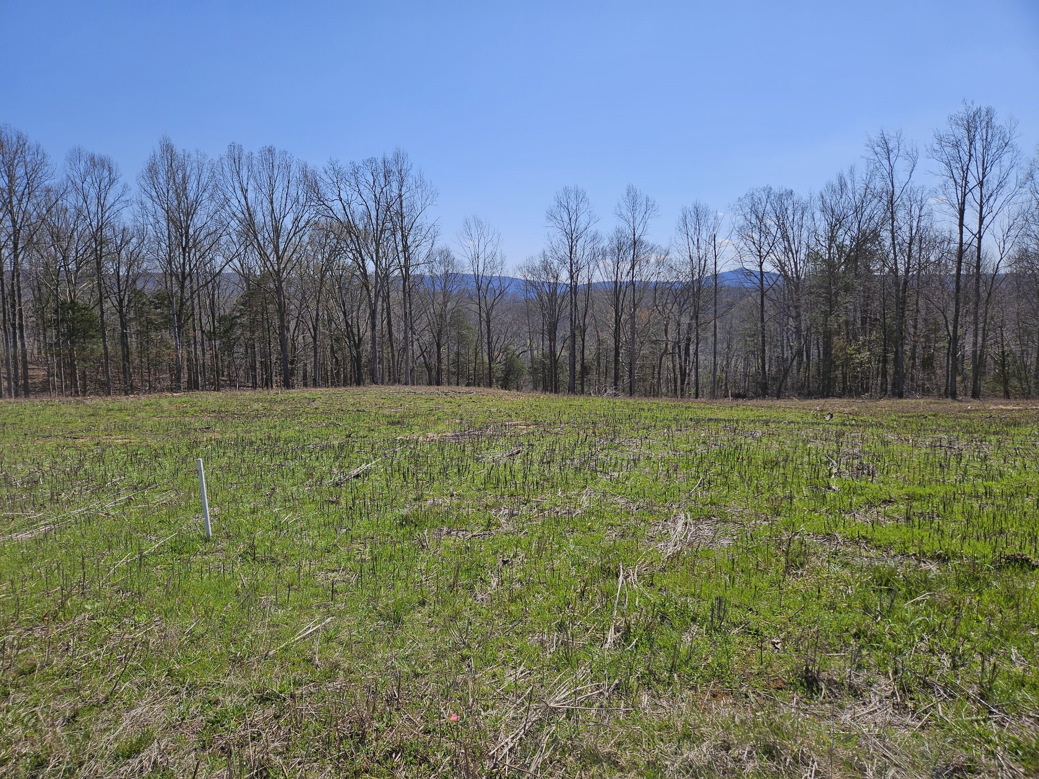 230 Ben Rd N Property Photo 4