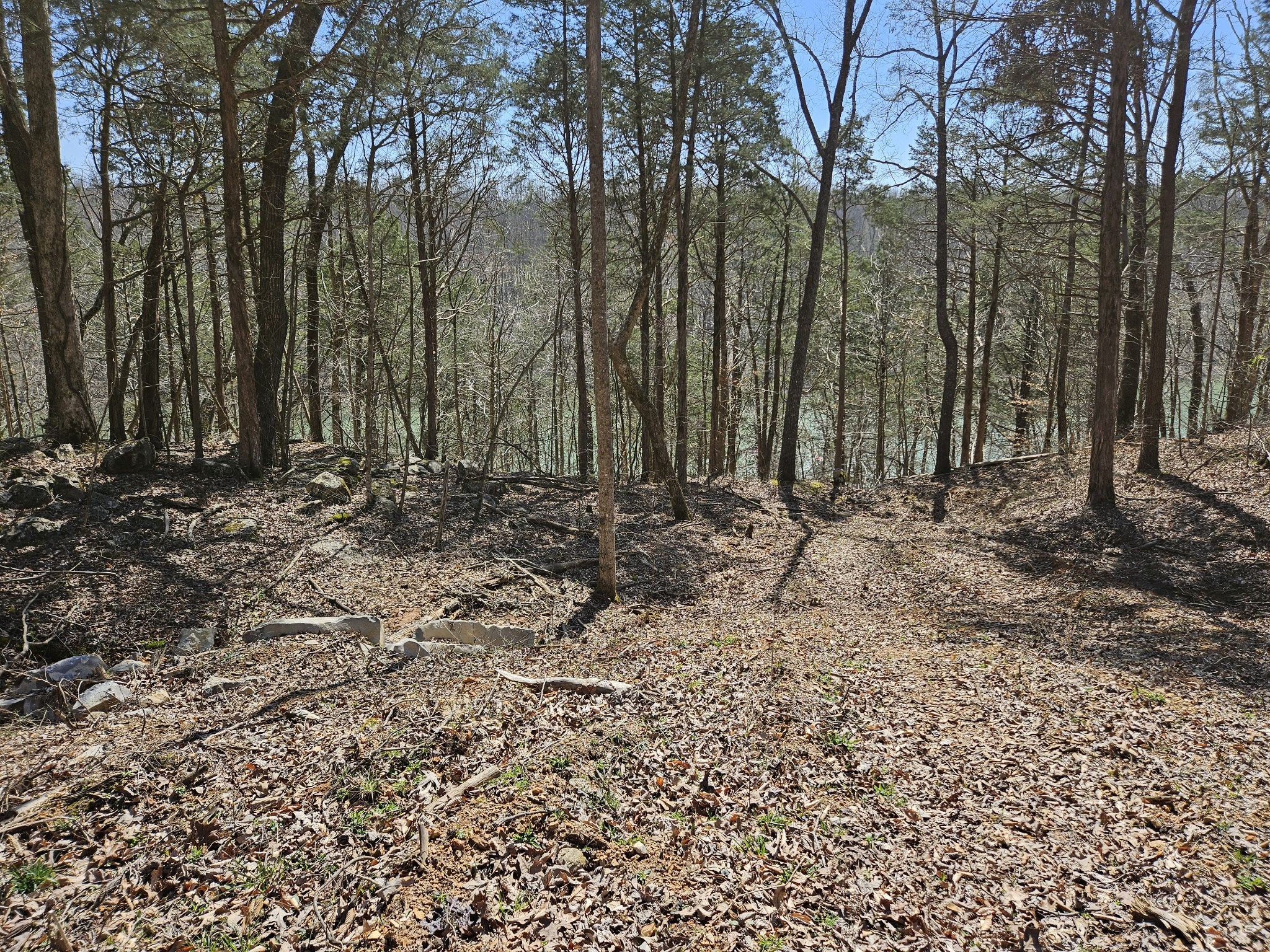 230 Ben Rd N Property Photo 5
