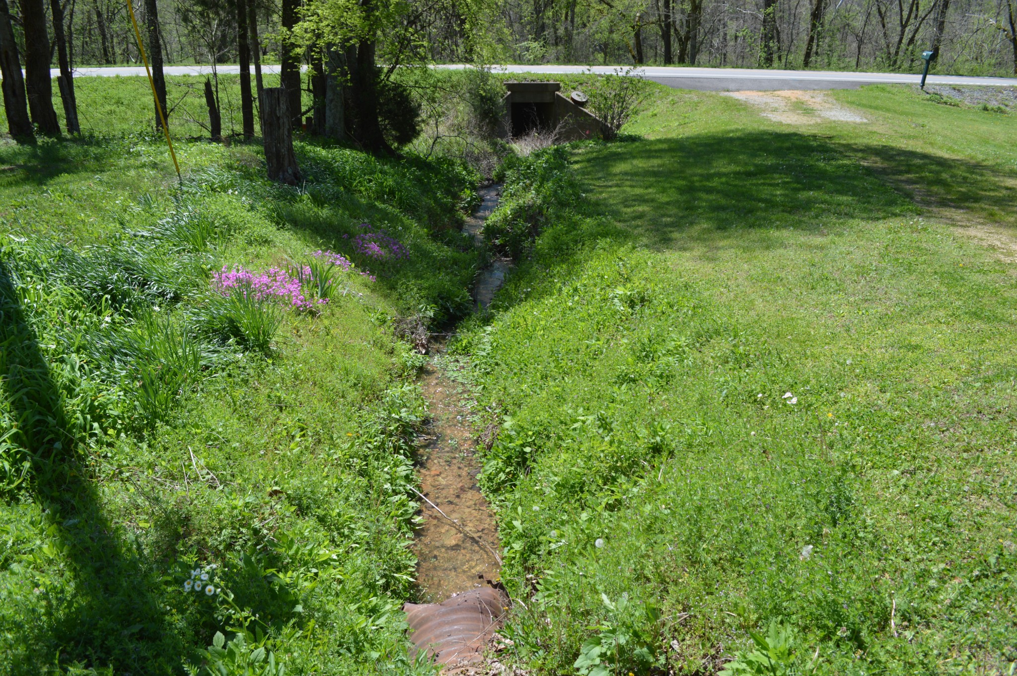 5485 Highway 412 Property Photo 16