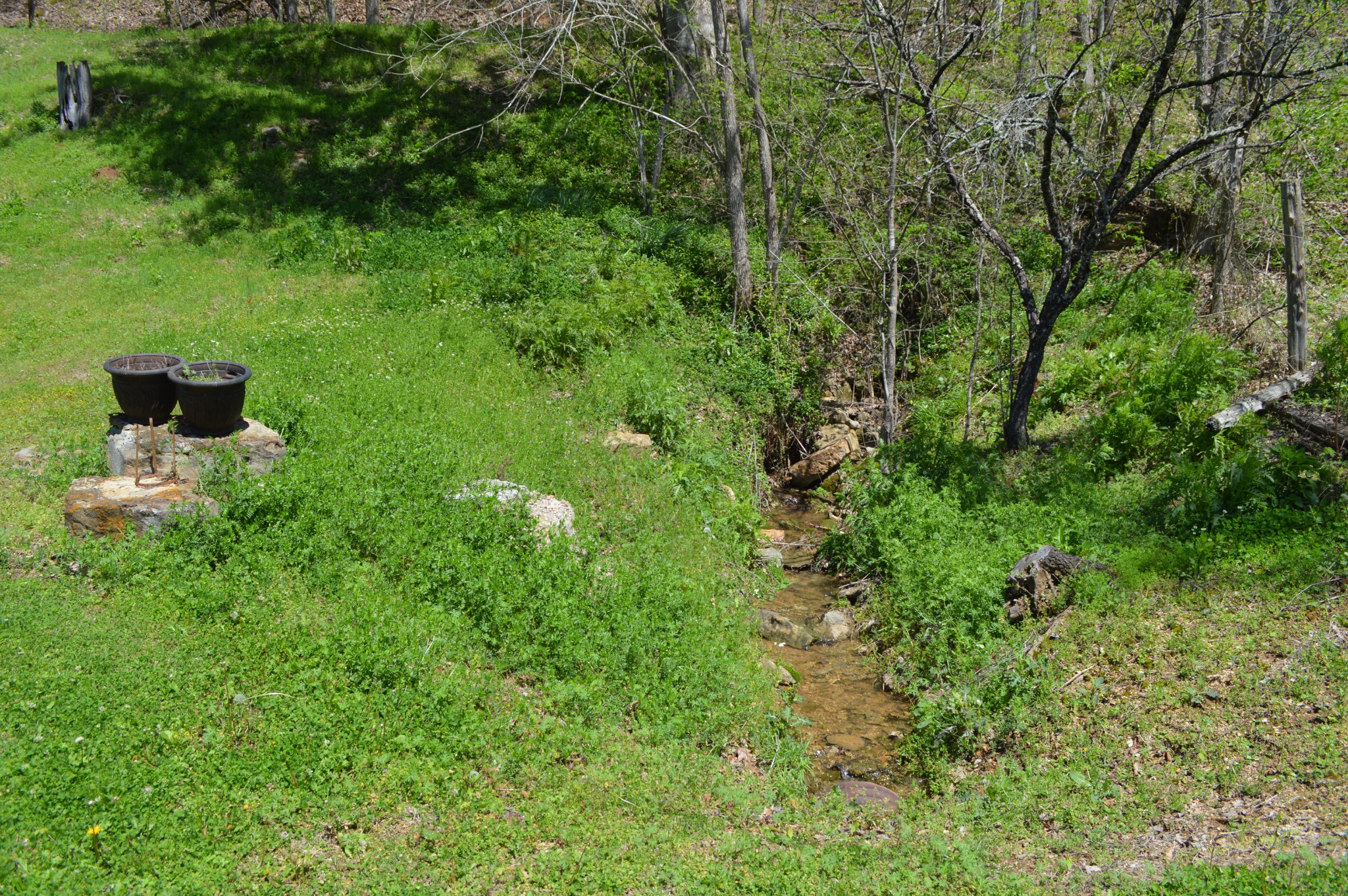 5485 Highway 412 Property Photo 17