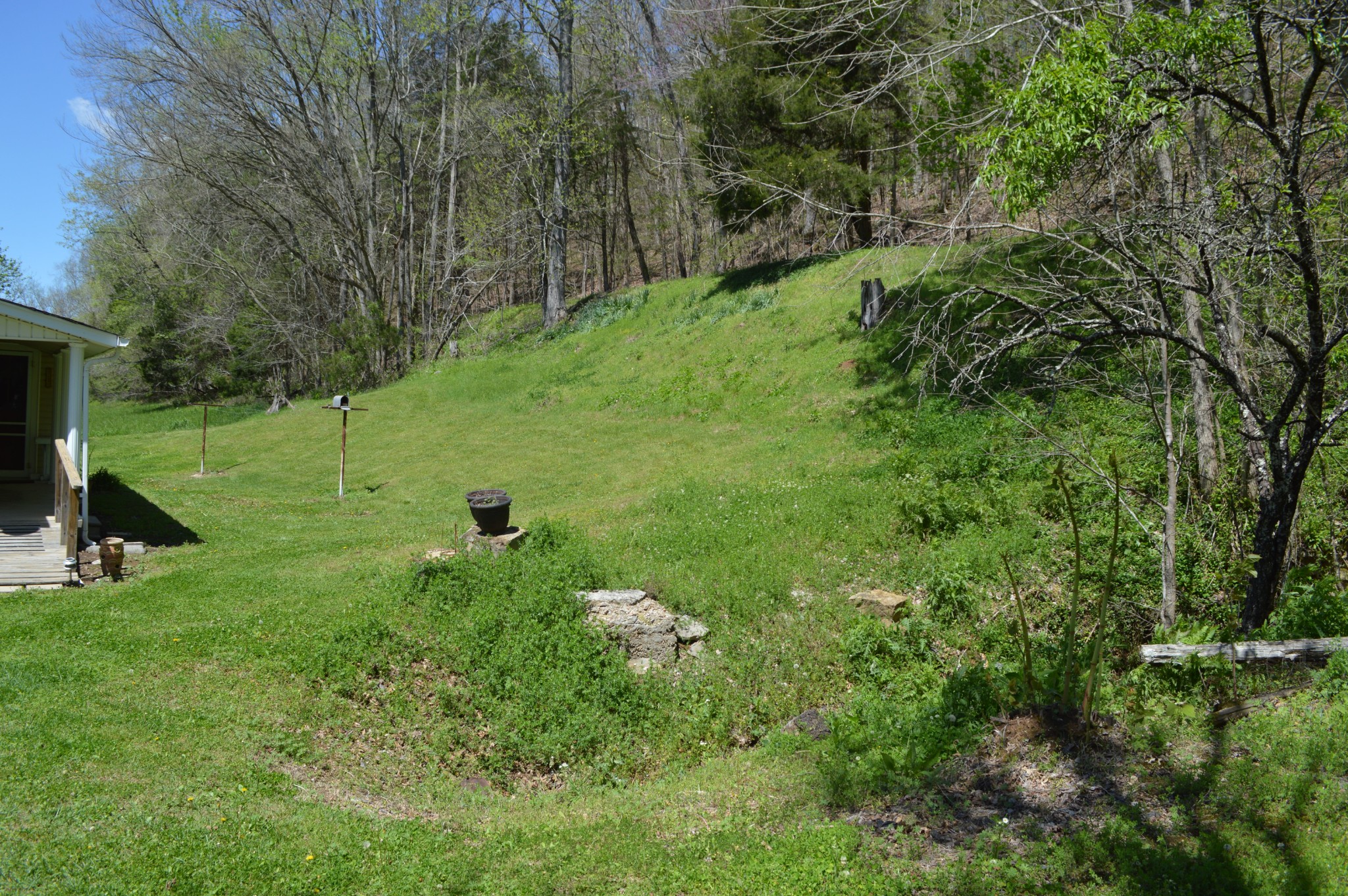 5485 Highway 412 Property Photo 18