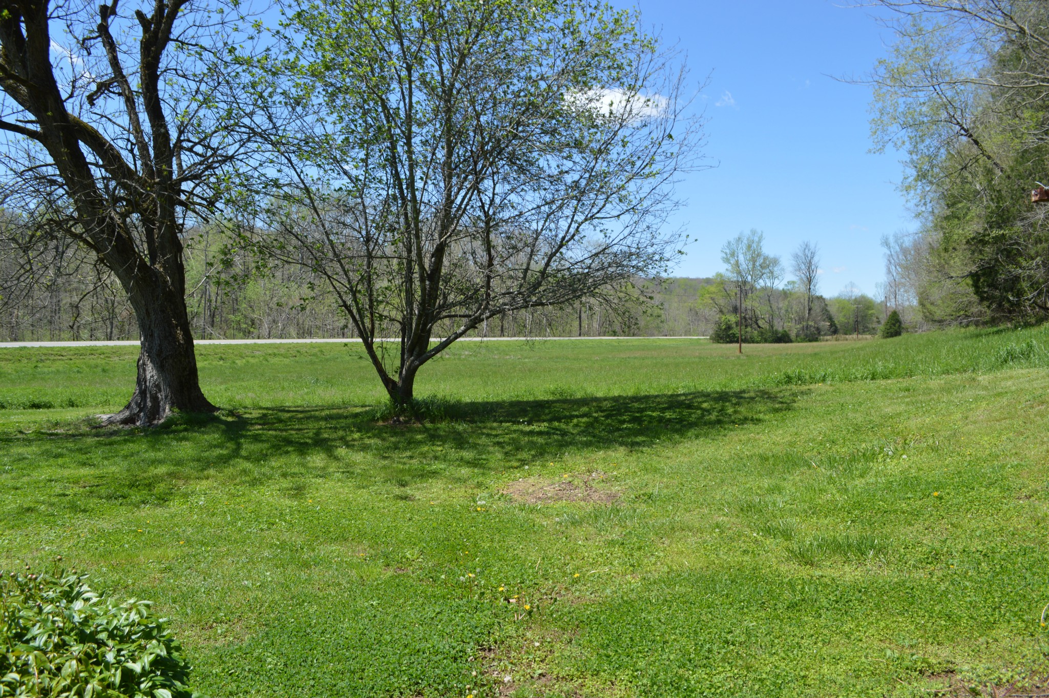 5485 Highway 412 Property Photo 19