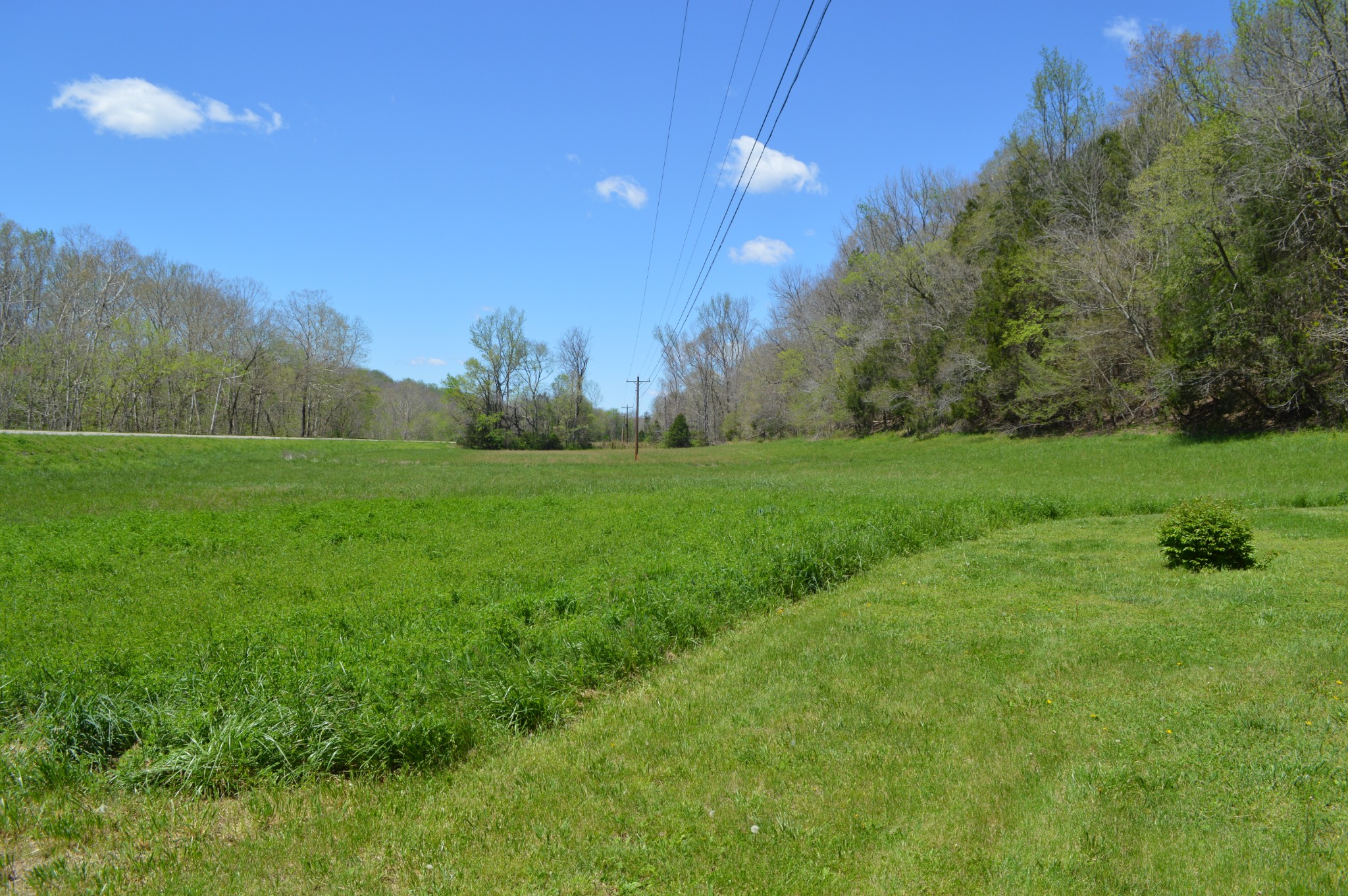 5485 Highway 412 Property Photo 20