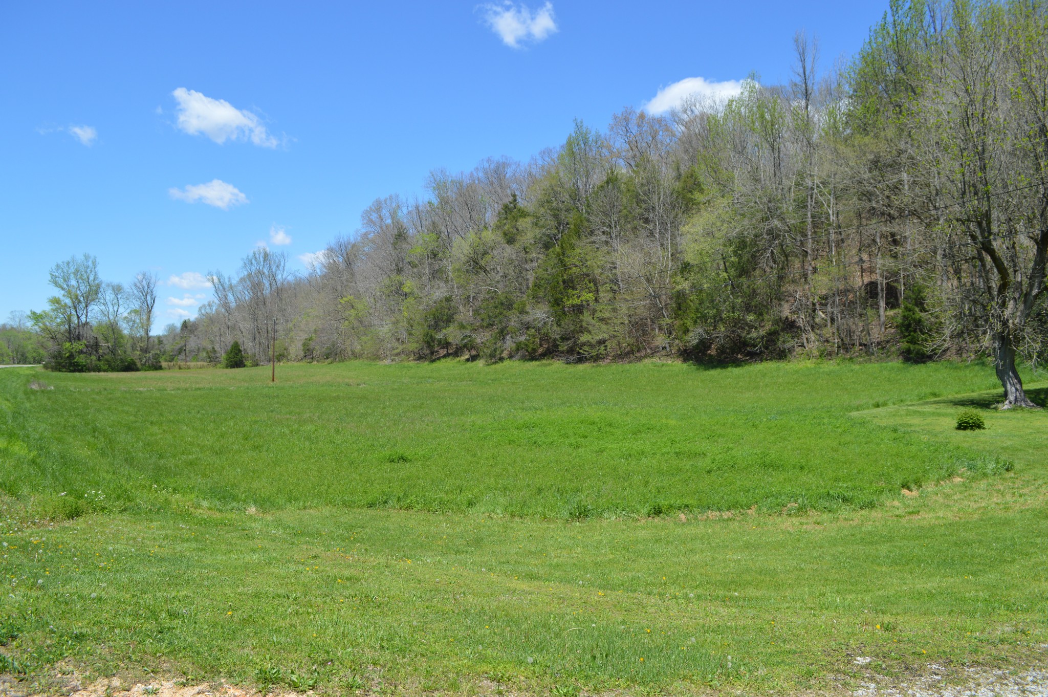 5485 Highway 412 Property Photo 22
