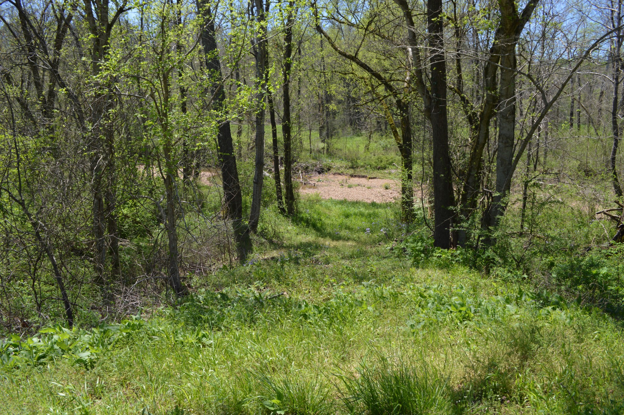 5485 Highway 412 Property Photo 23