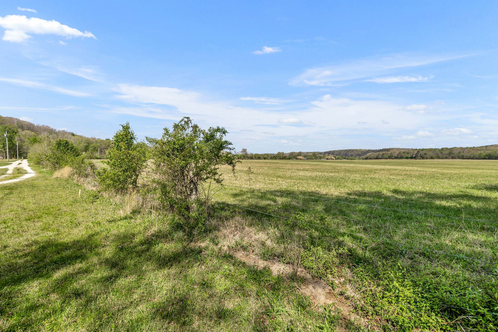 0 Texas Bottom Lane Property Photo 8
