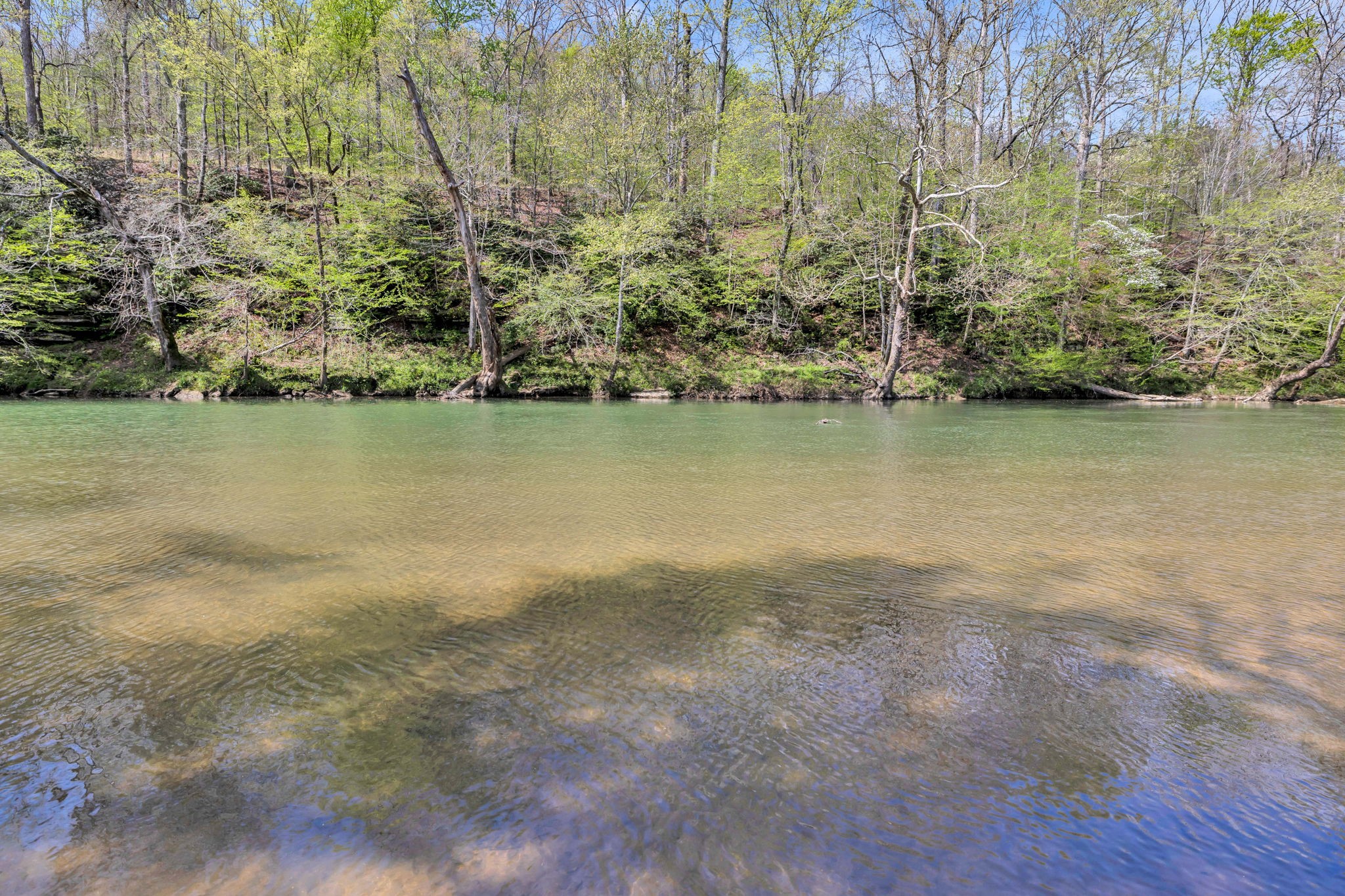 0 Texas Bottom Lane Property Photo 19