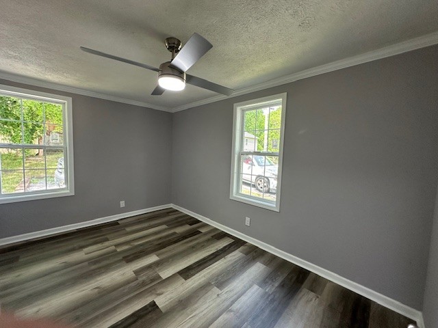106 Cedarwood St Property Photo 12