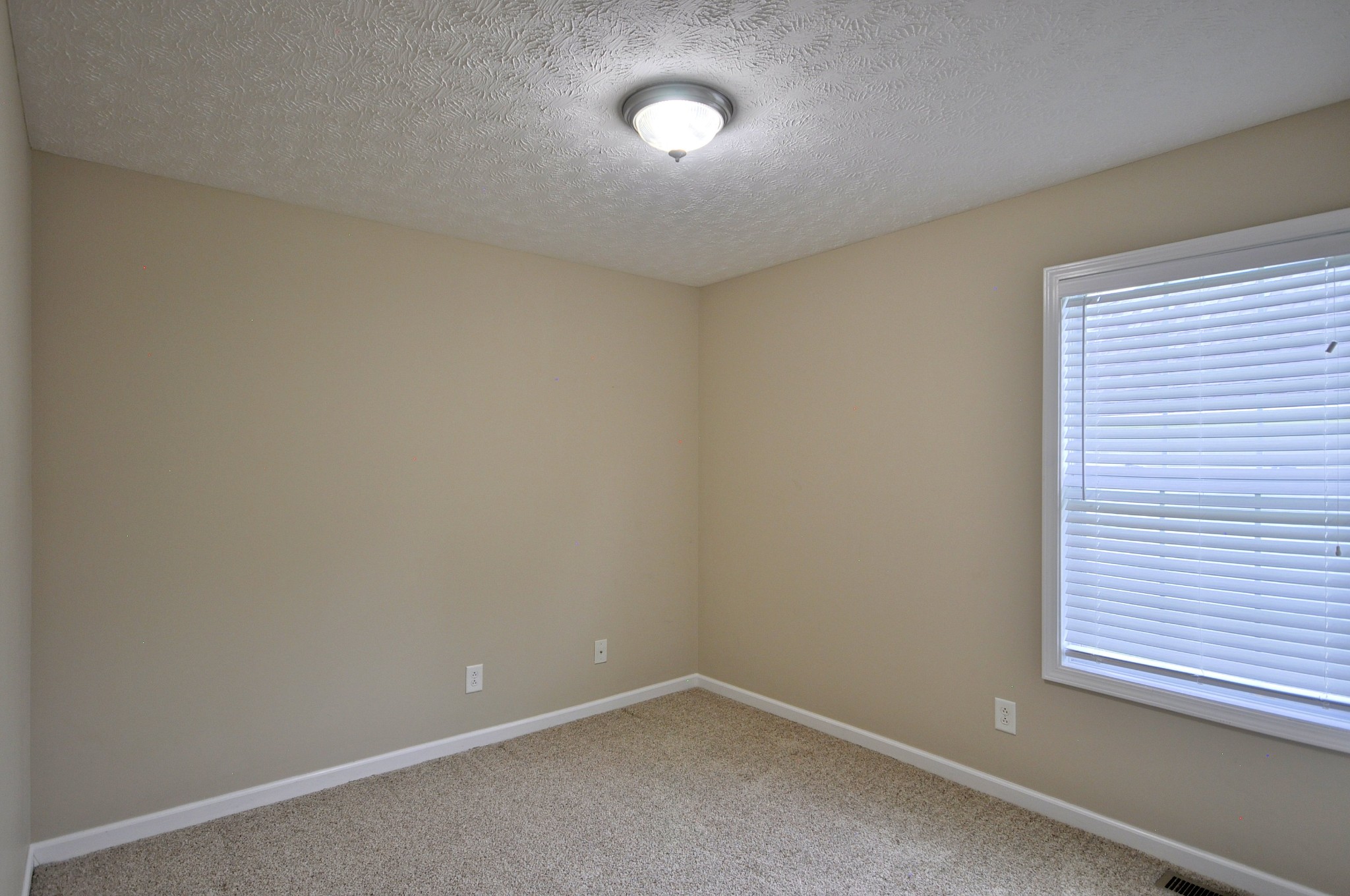 880 Cindy Jo Ct Property Photo 34