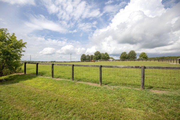 173 Saxony Way Property Photo 32