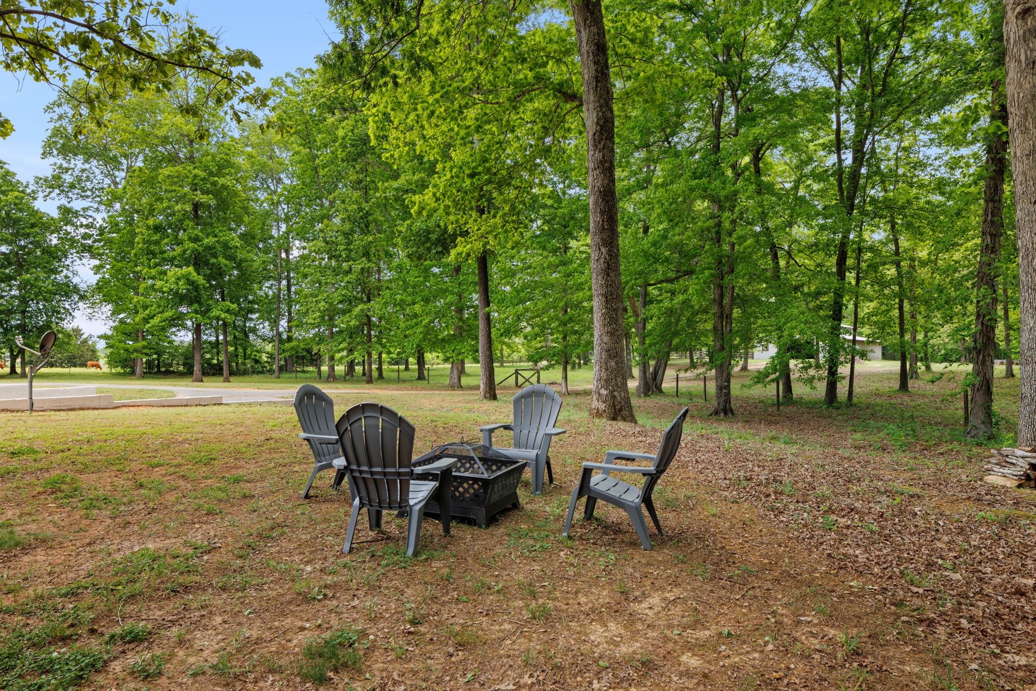 401 County Road 432 Property Photo 46