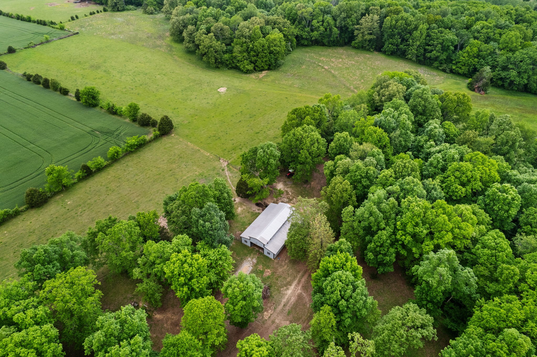 401 County Road 432 Property Photo 62