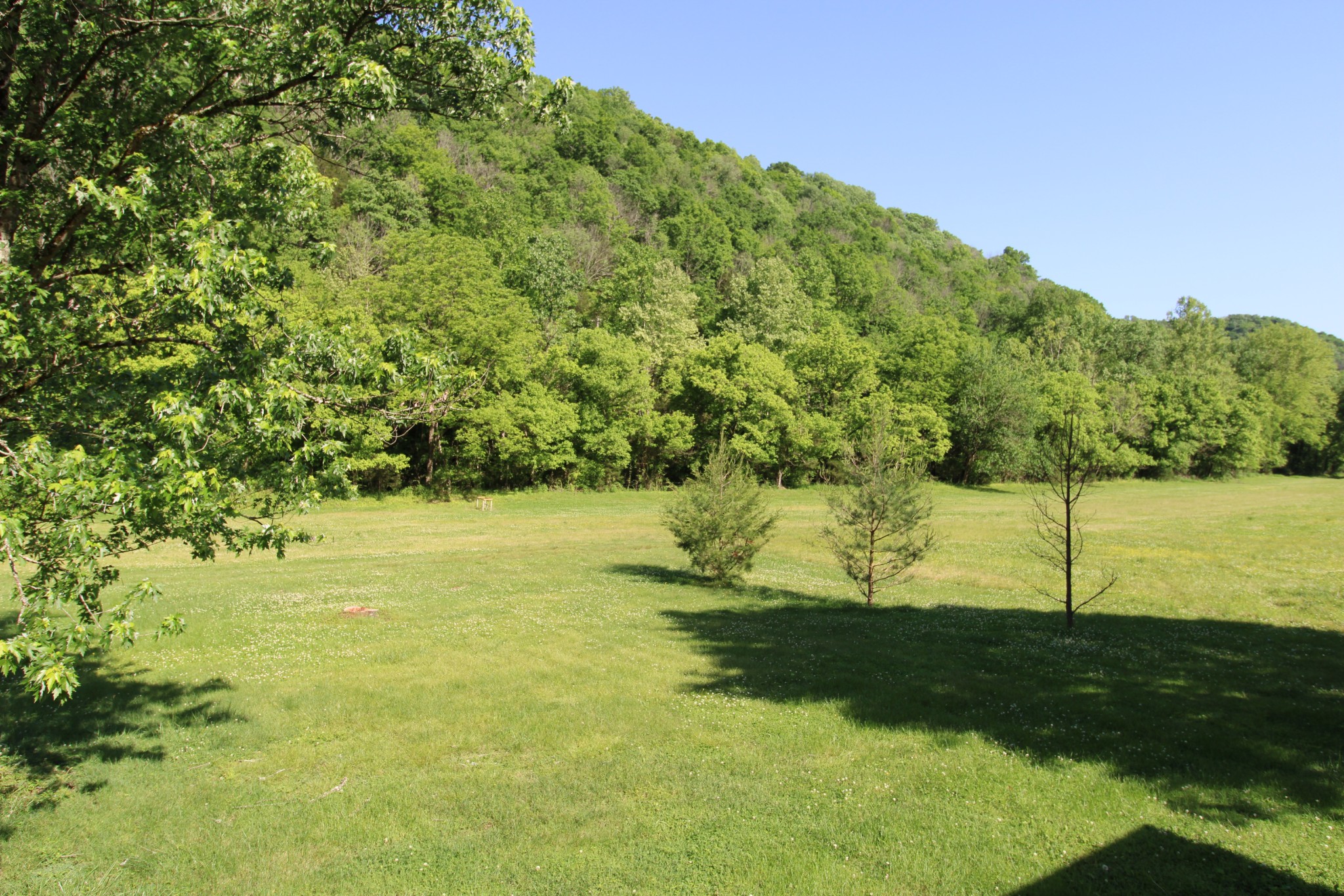 2492 Hartsville Road Property Photo 25